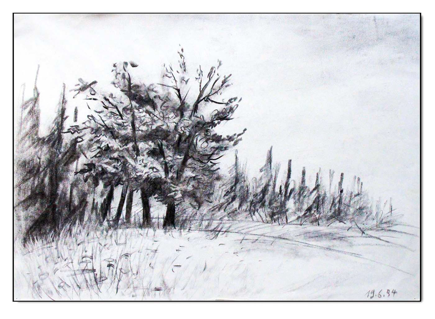 Am Waldrand, Kohlezeichnung 