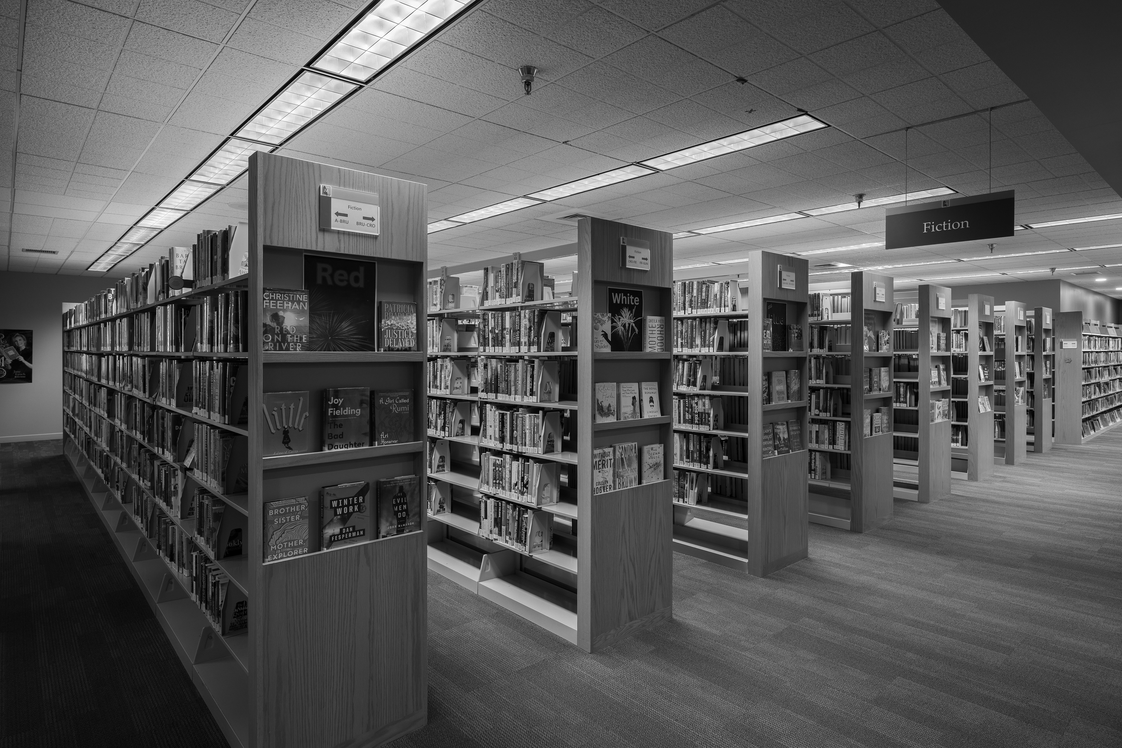 Existing Conditions: Interior Shelving