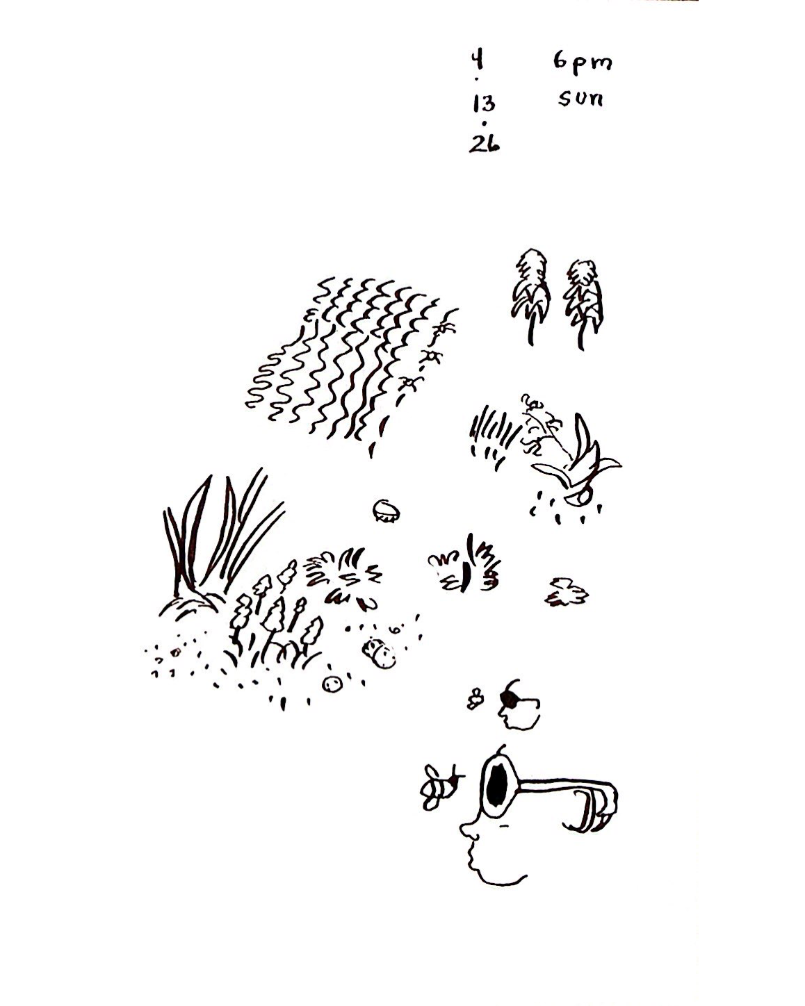 flowers, roughly sketched, and a bee looking closely at a face in sunglasses