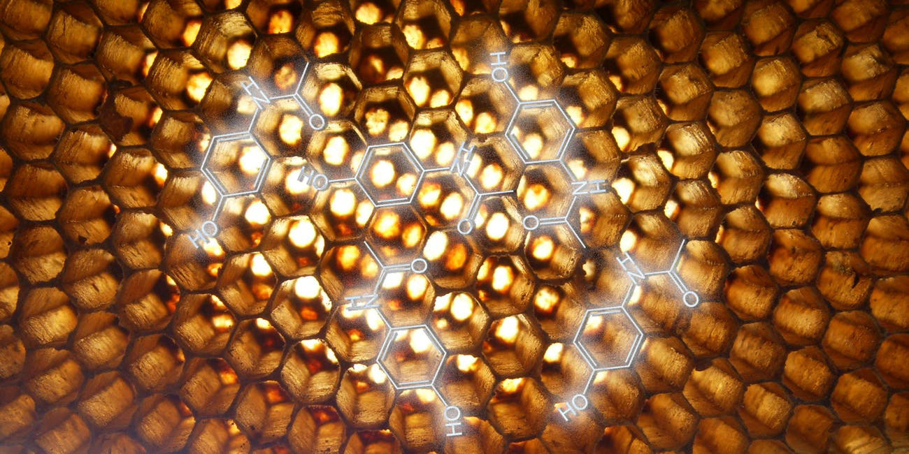 Honeycombs showing the hexagon shape