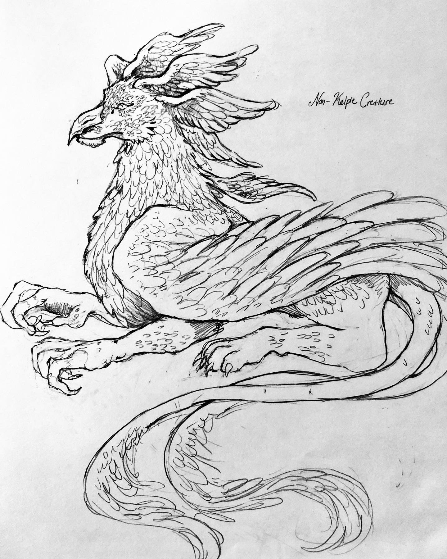 Griffin