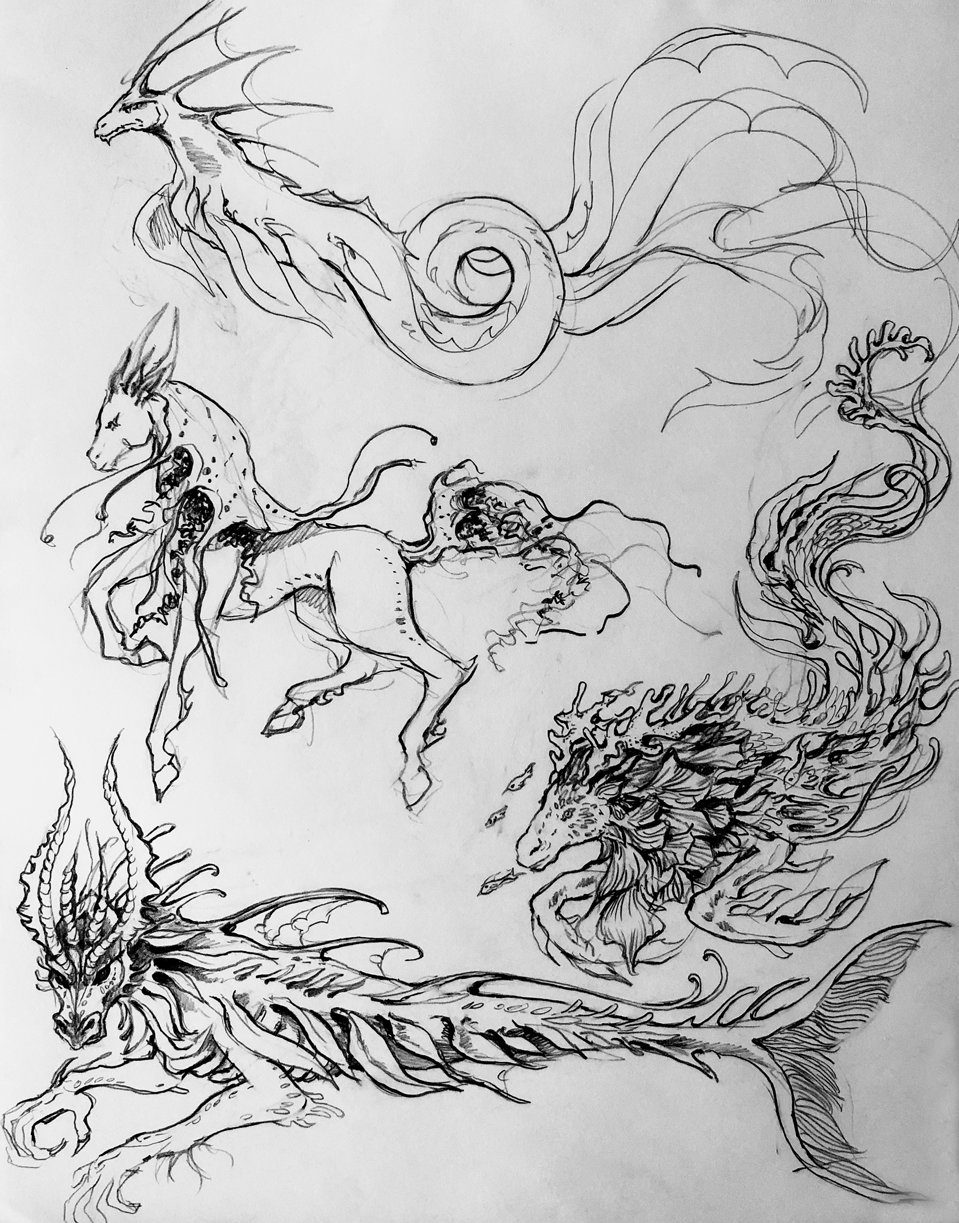 Kelpie Designs