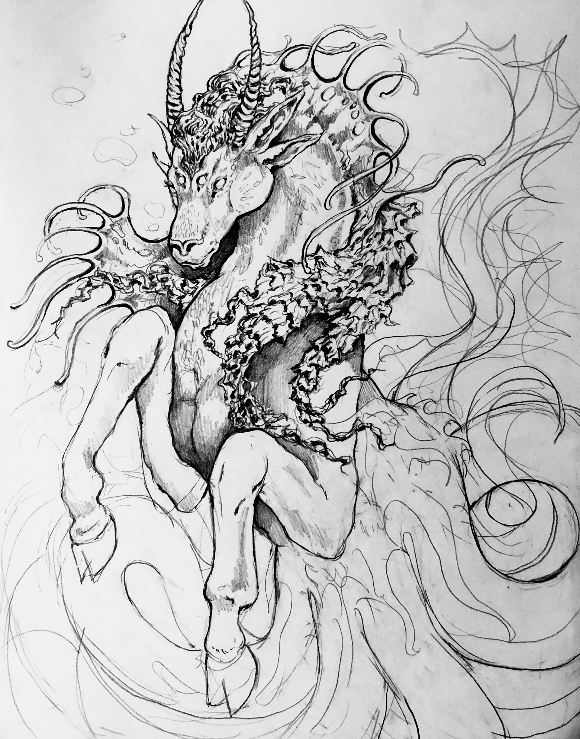 Kelpie