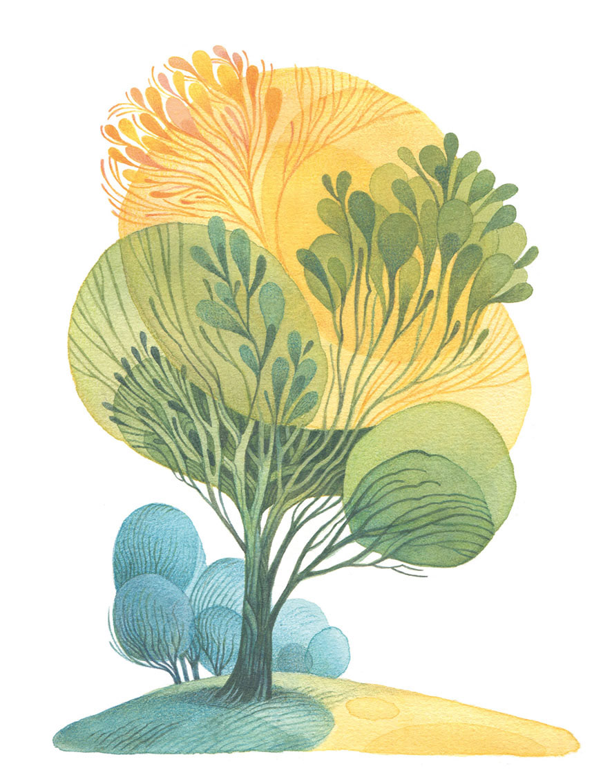 Watercolor illustration of a stylized tree changing colors. Art by Gaia Bordicchia