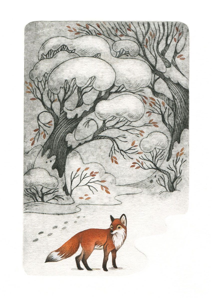 Illustration of a snowy landscape in black and white, with a red fox in the foreground painted with watercolors. Illustration by Gaia Bordicchia.