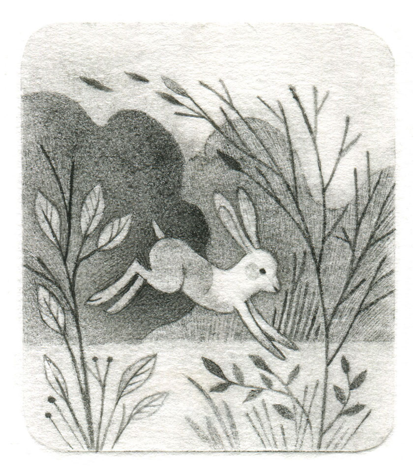 Dry point etching illustration of a bunny hopping through a garden. Art by Gaia Bordicchia