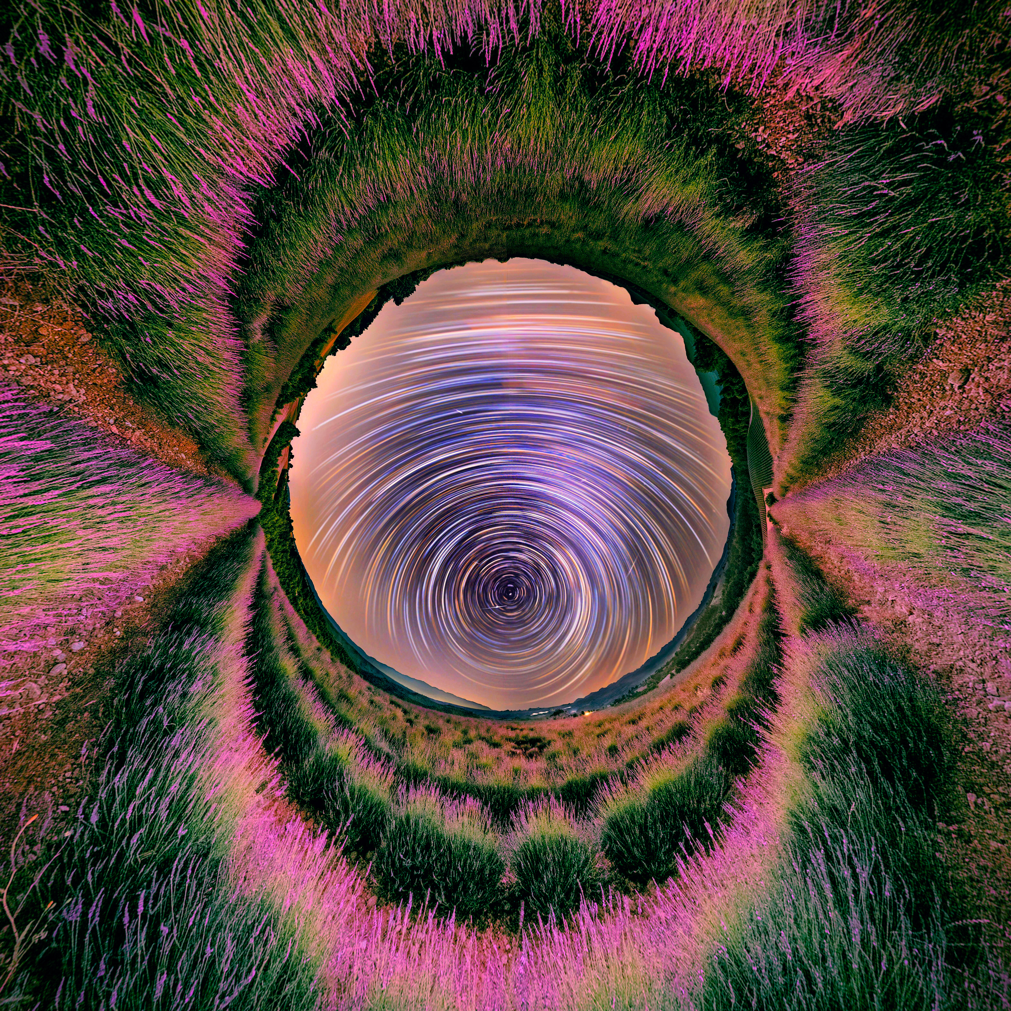 360° Startrail over lavender field - Provence