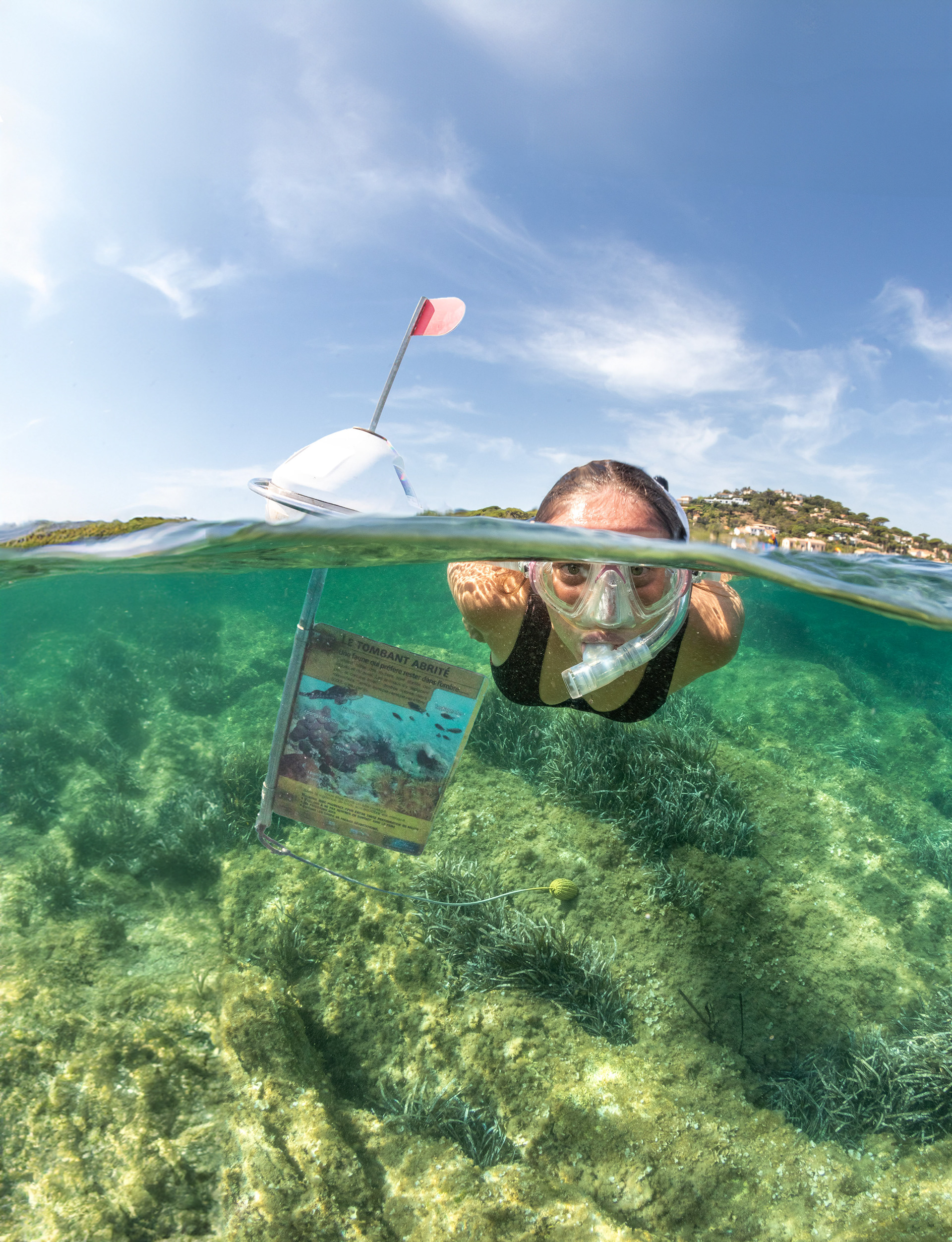 Snorkeling in Saint-Tropez