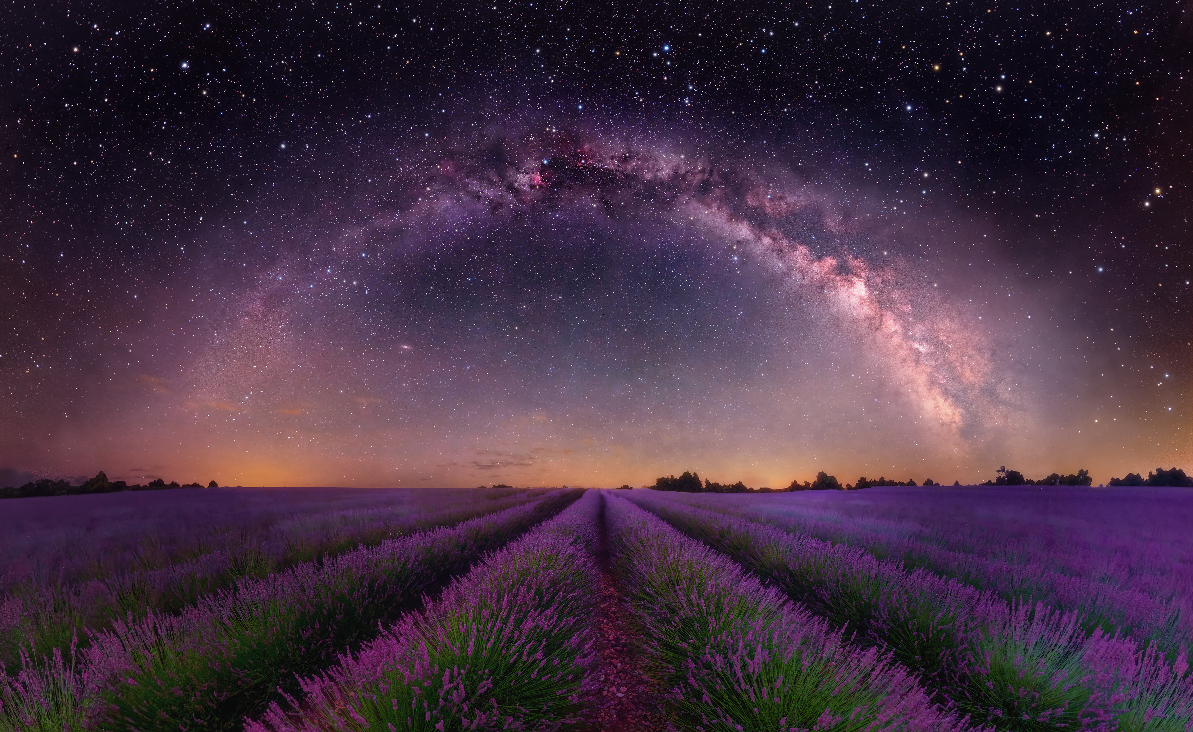 Purple Night in Provence