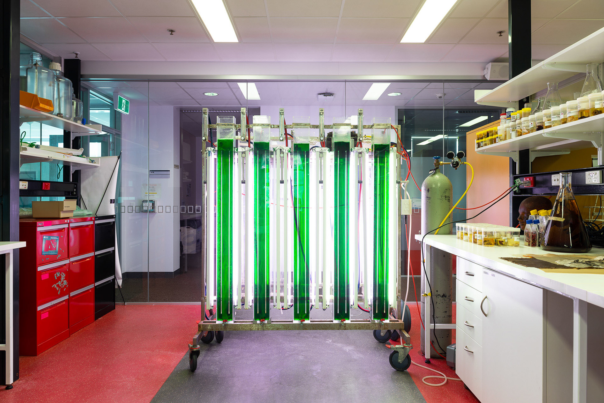 Microalgal Bioreactor