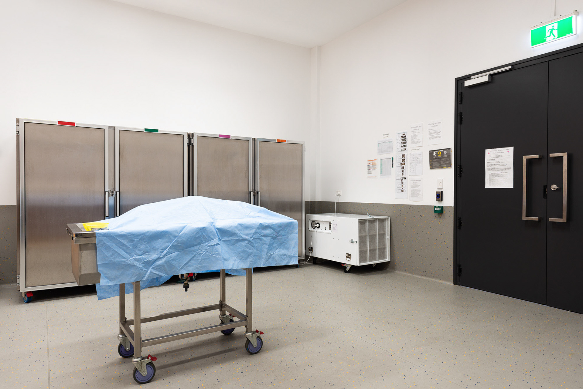 Anatomy Wet Laboratory