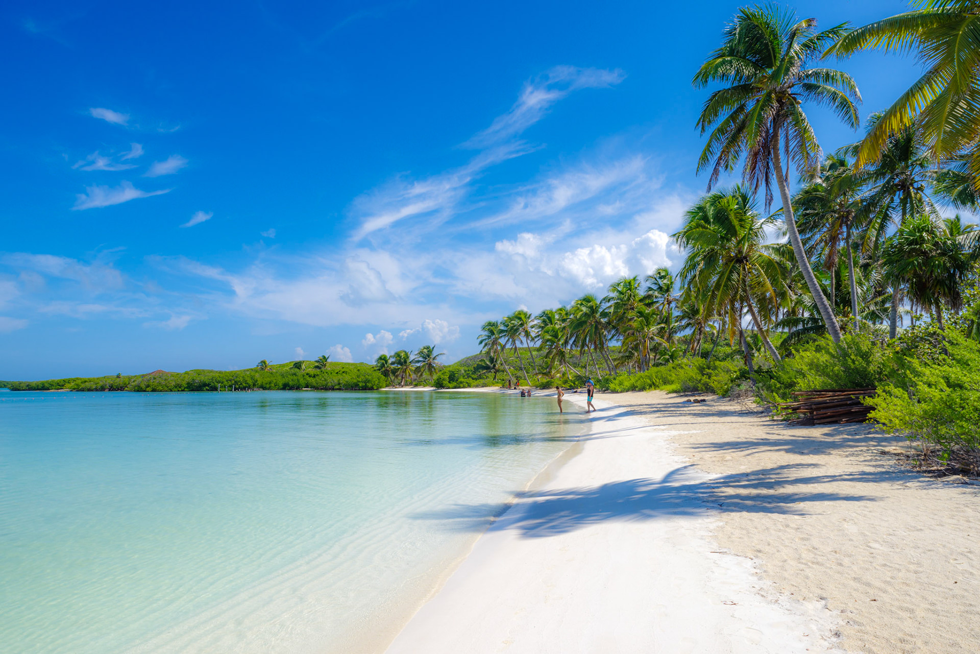 Isla Contoy
