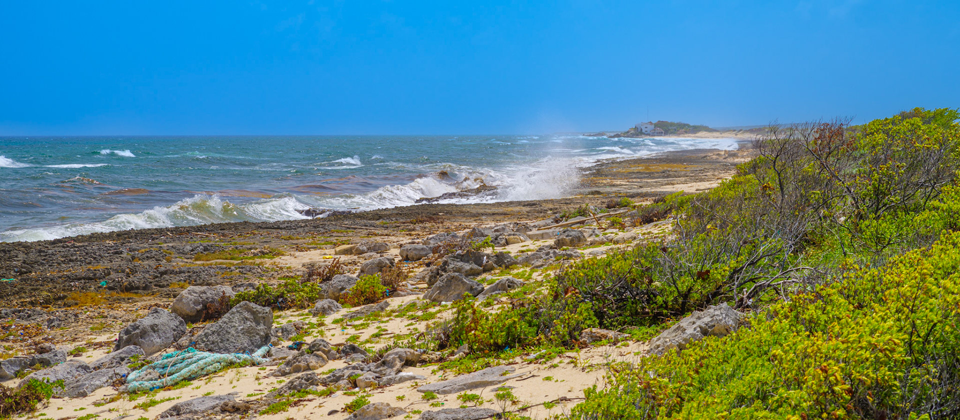Isla Cozumel