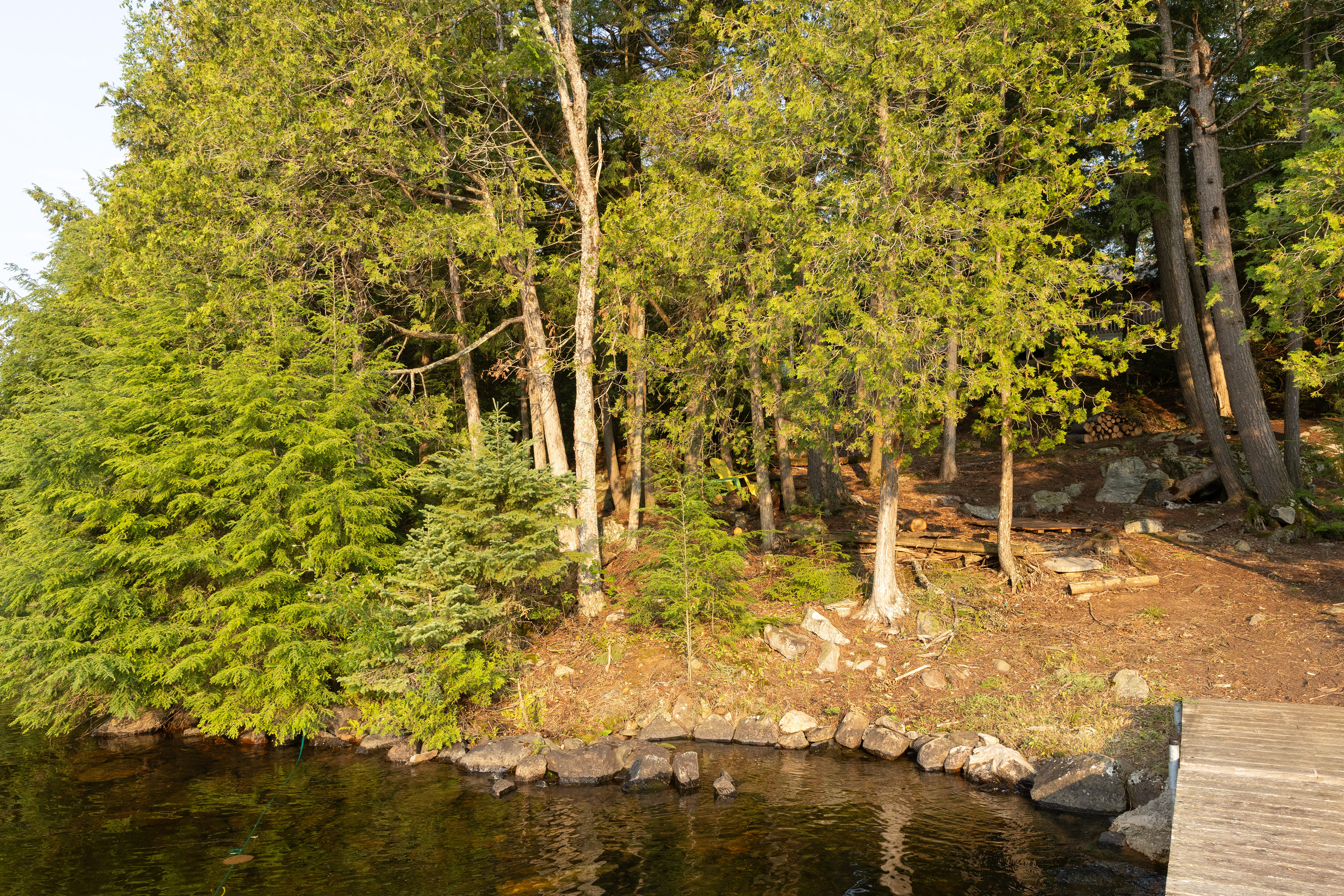 Wollaston Lake - Meer Cottage