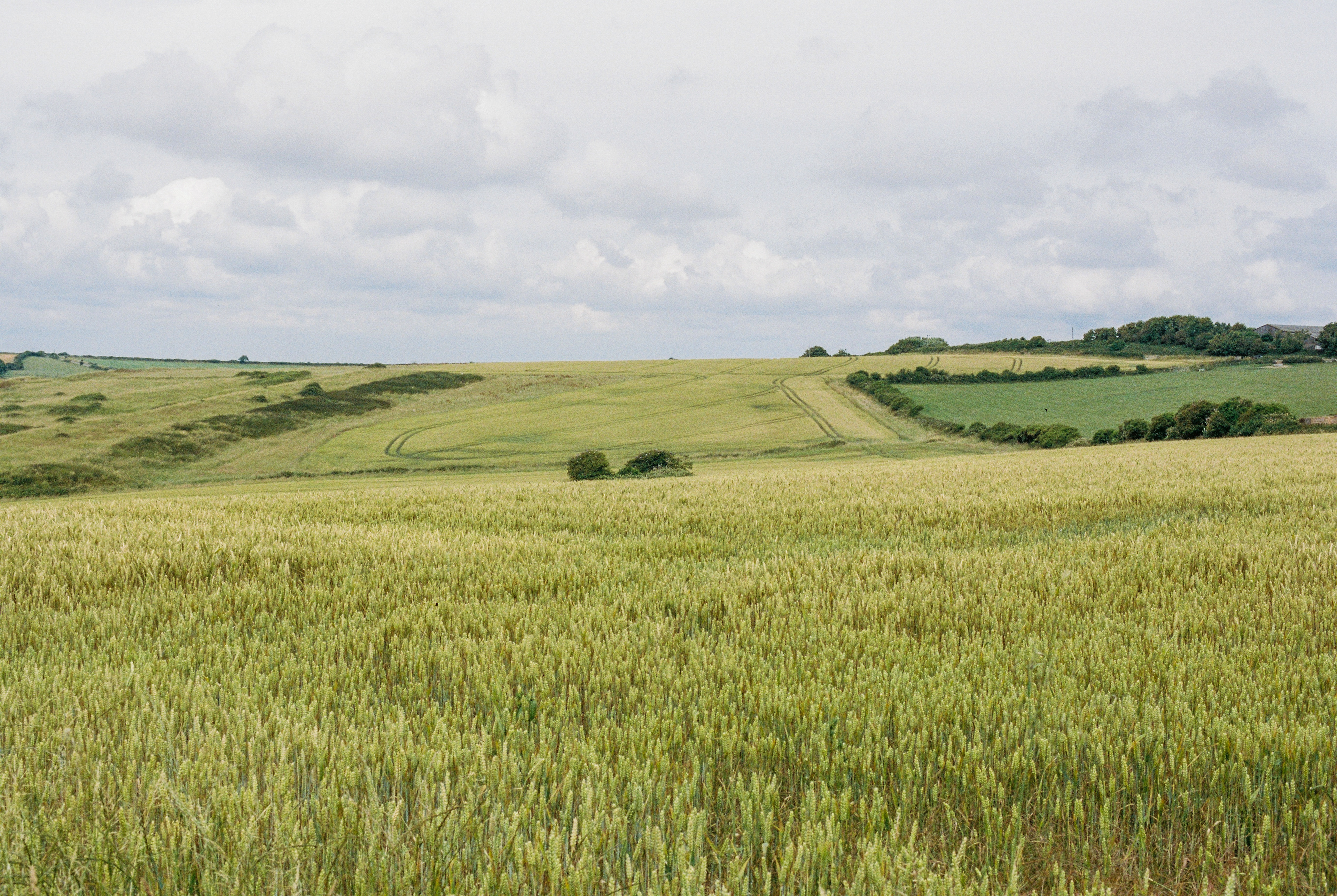 The Purbeck way walk, Dorset, UK