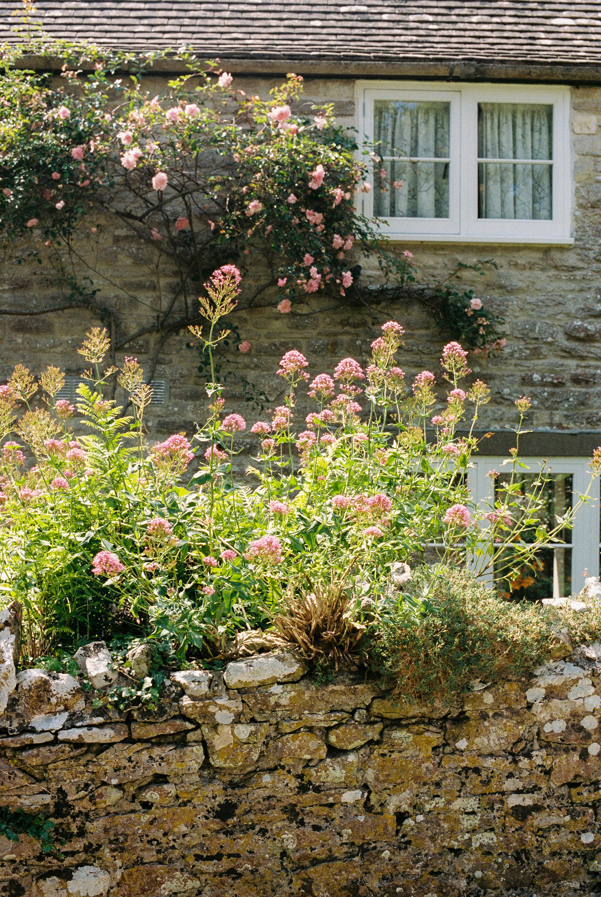 The Purbeck way walk, Dorset, UK