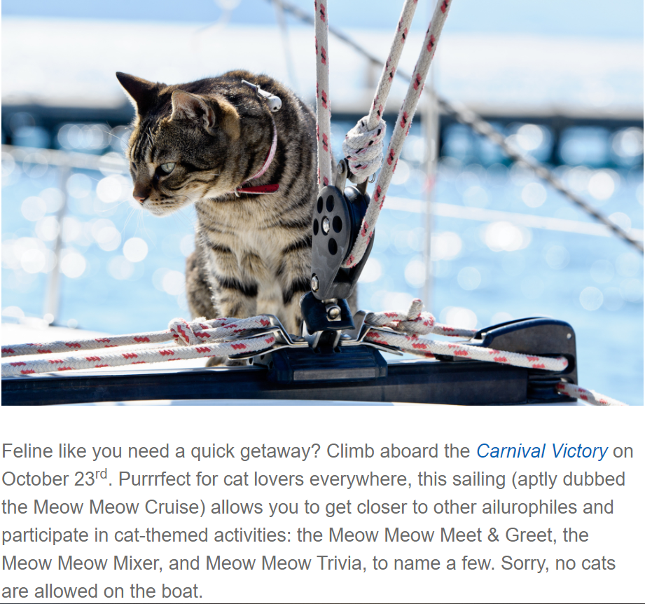Excerpt of Orbitz blog post