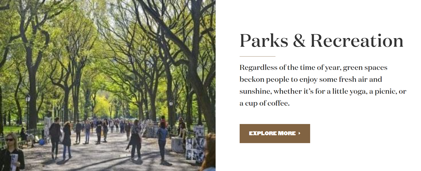 Excerpt of the neighborhood guide on The Benjamin's website