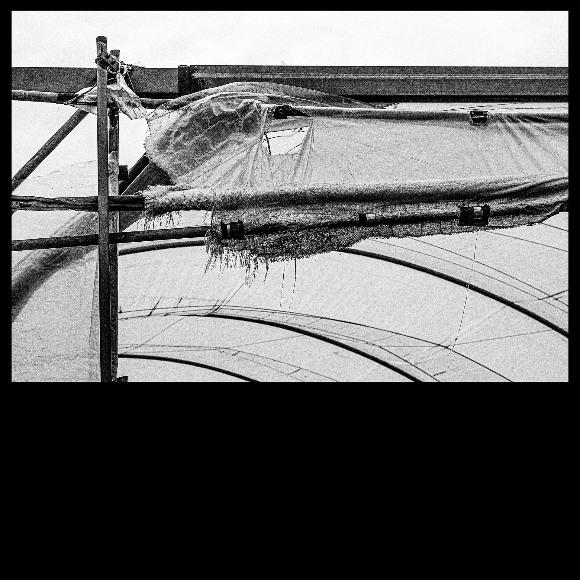 Soft Fruit Farm near Arbroath - Summer 2021