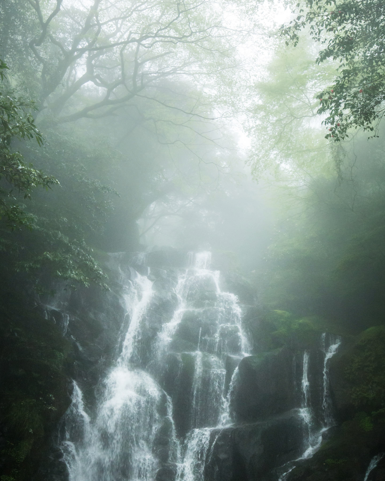 moonlit-japan.com