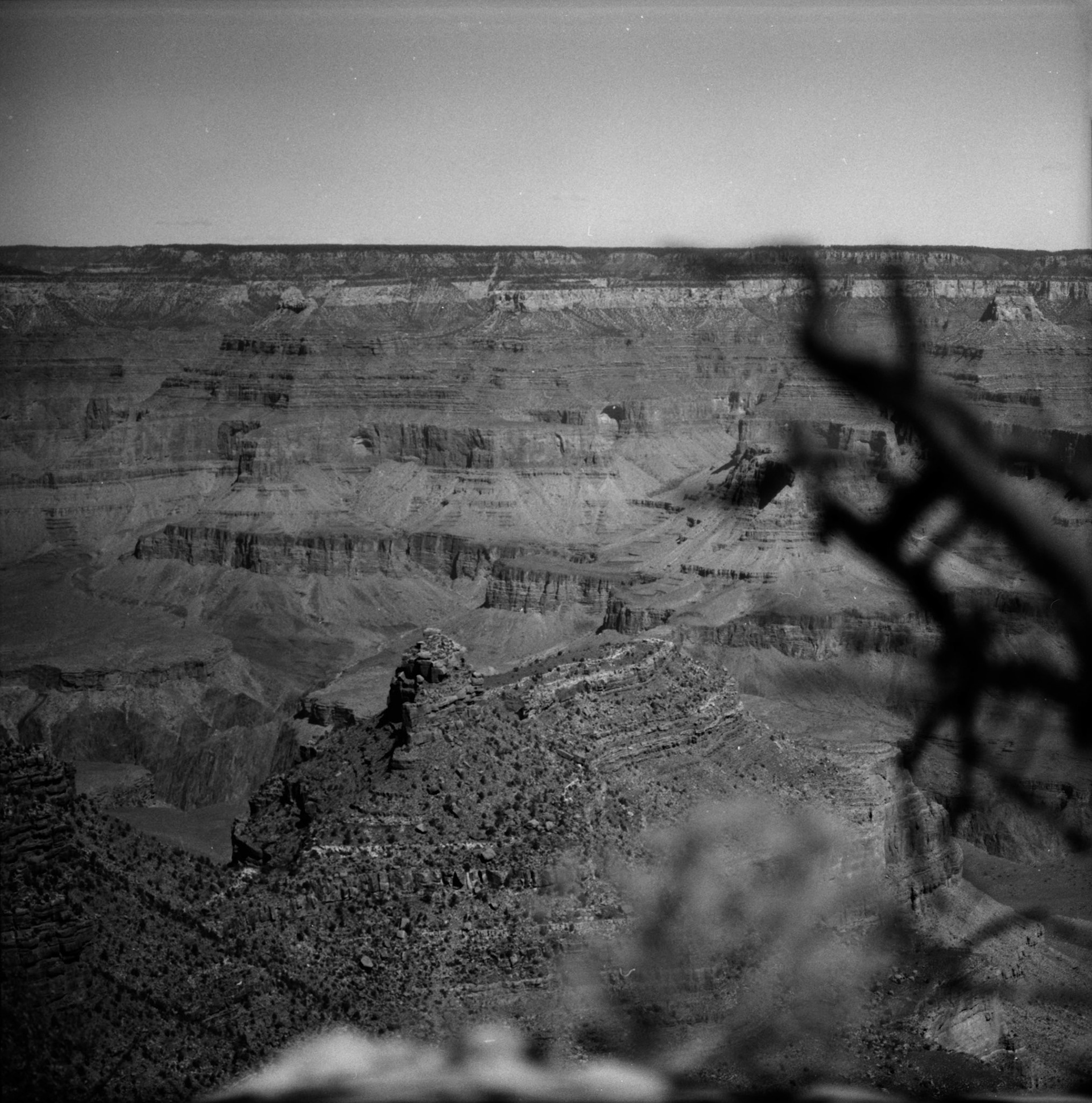 Where the Earth Opens Its Archive