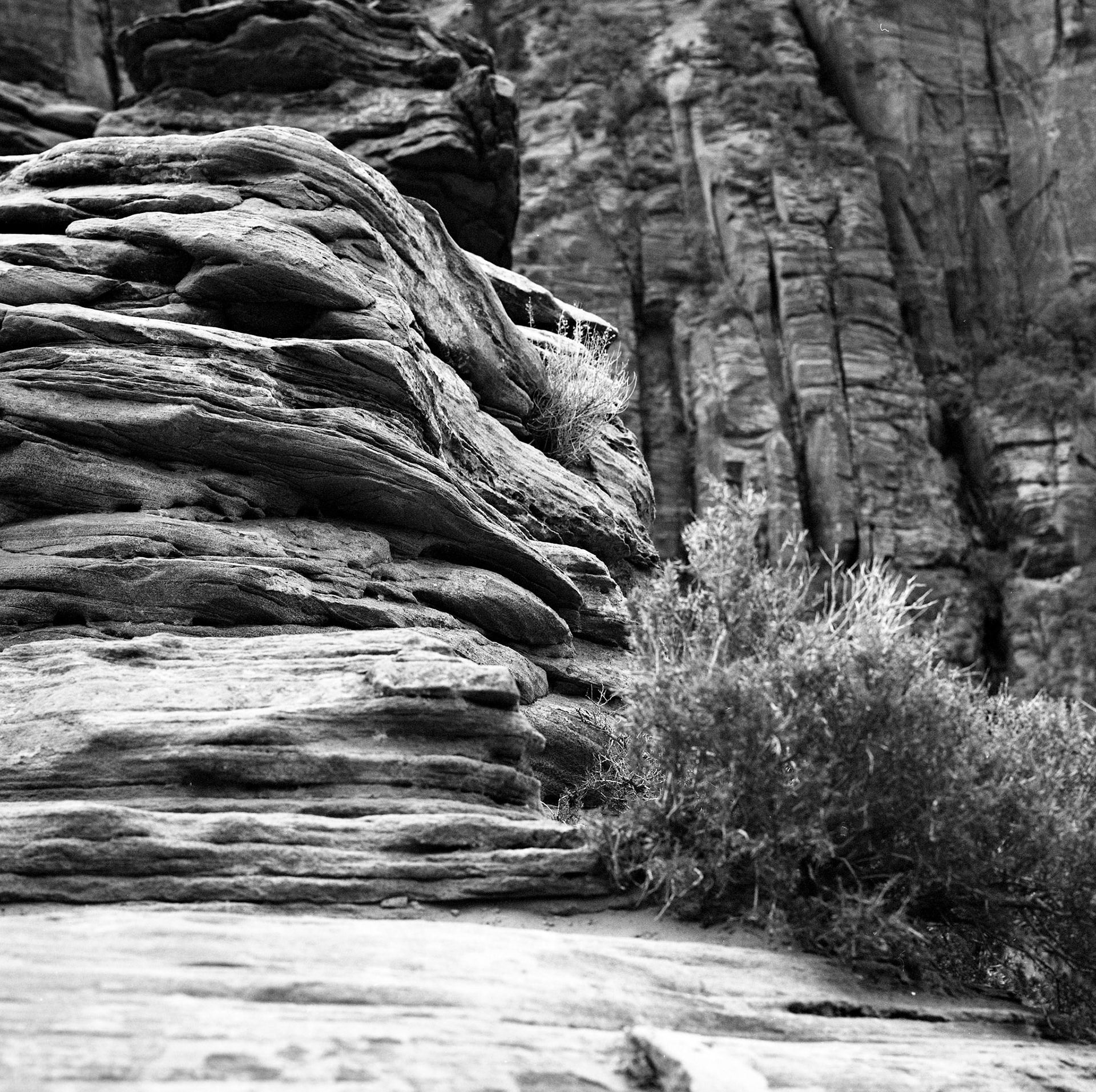 Erosion Has a Language