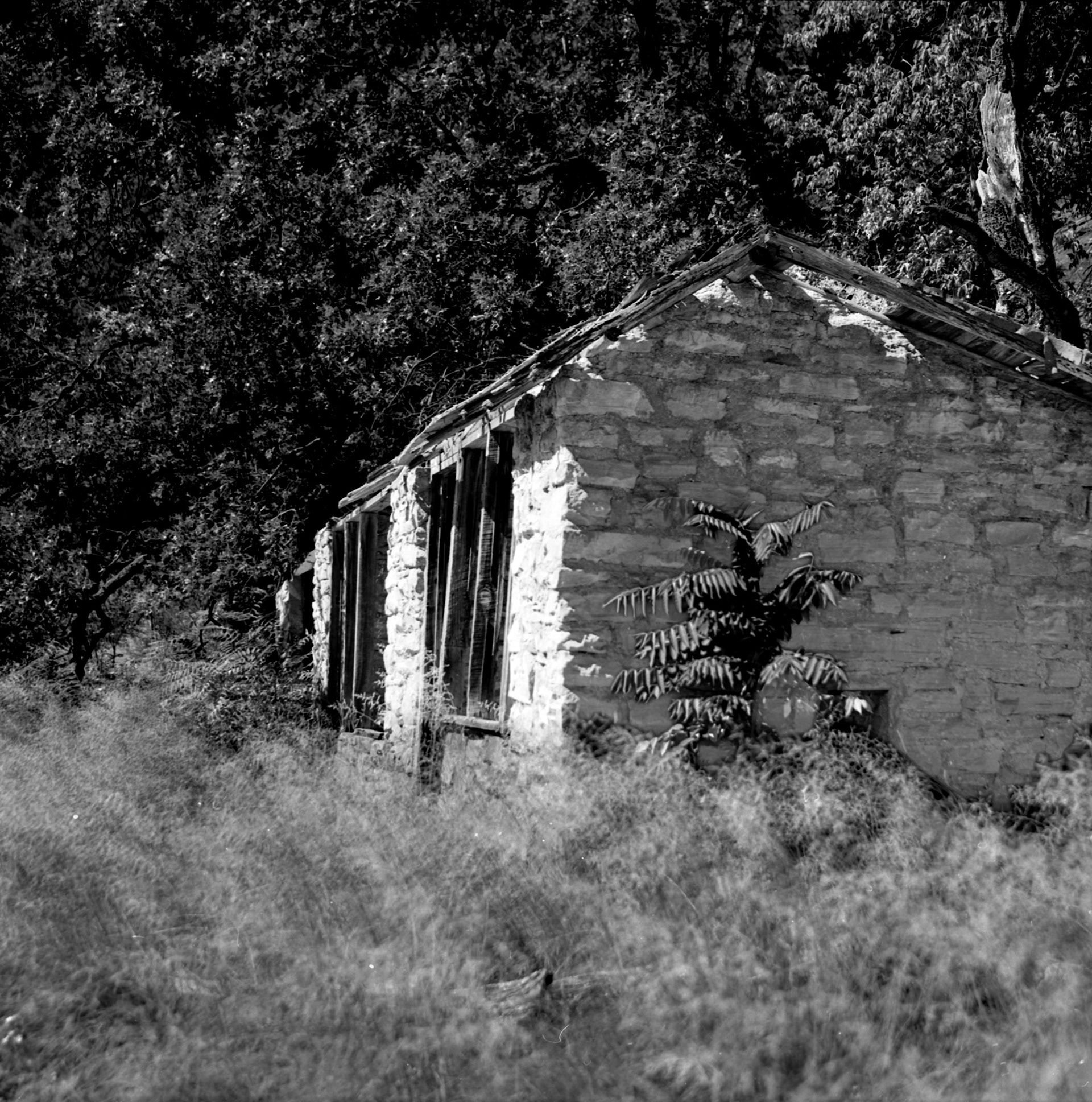 Dwelling After the Dwellers