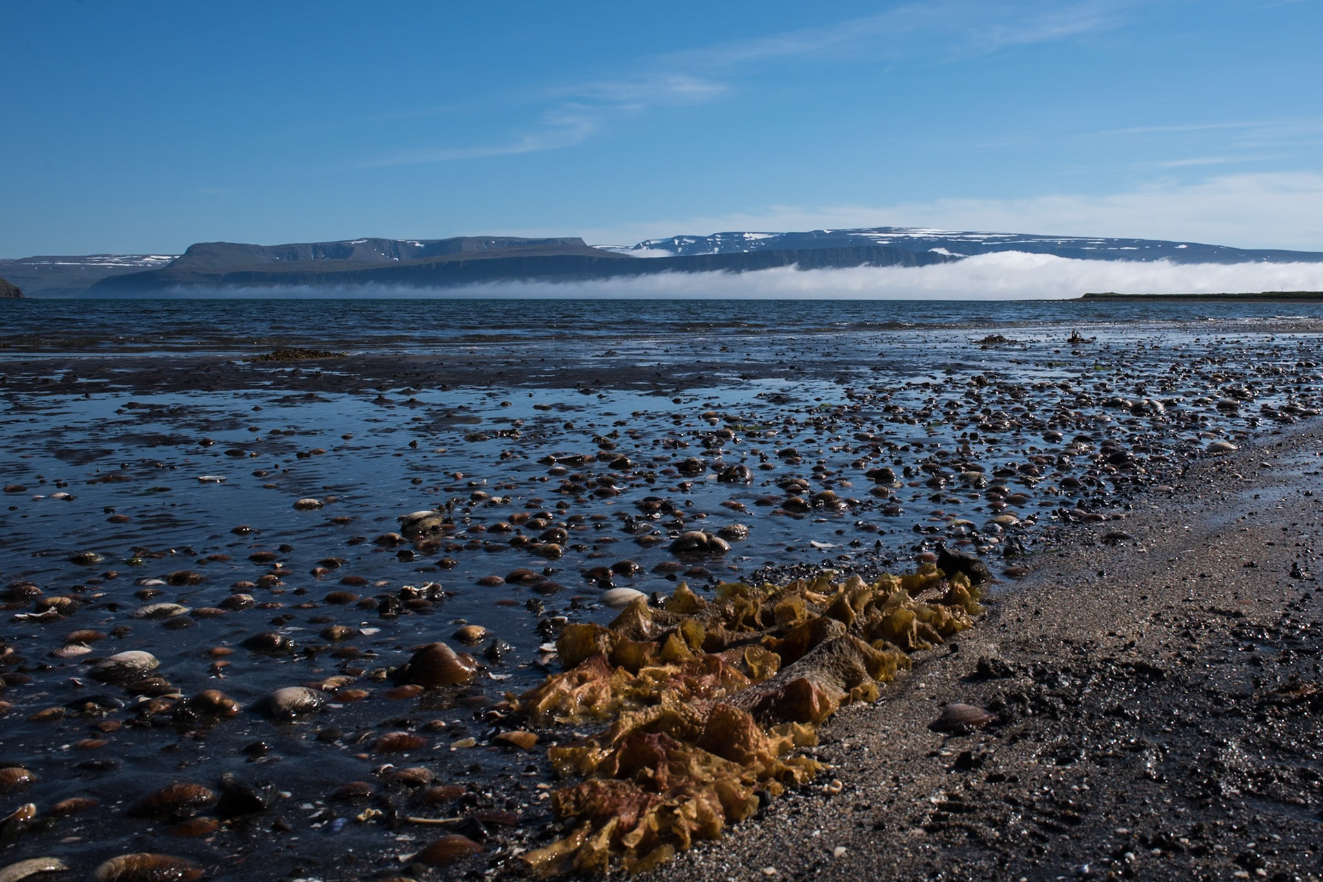 From Hesteyri, the fog lying outside on the fjord without coming in.