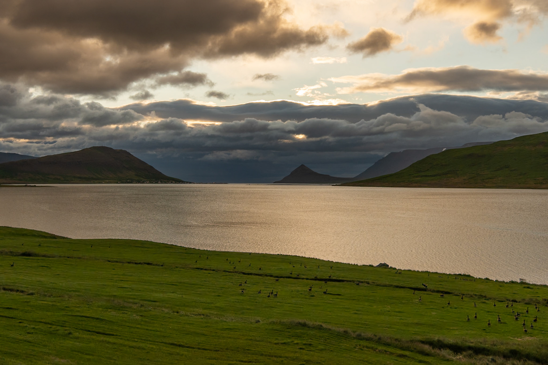 ©SVANADýrafjörður