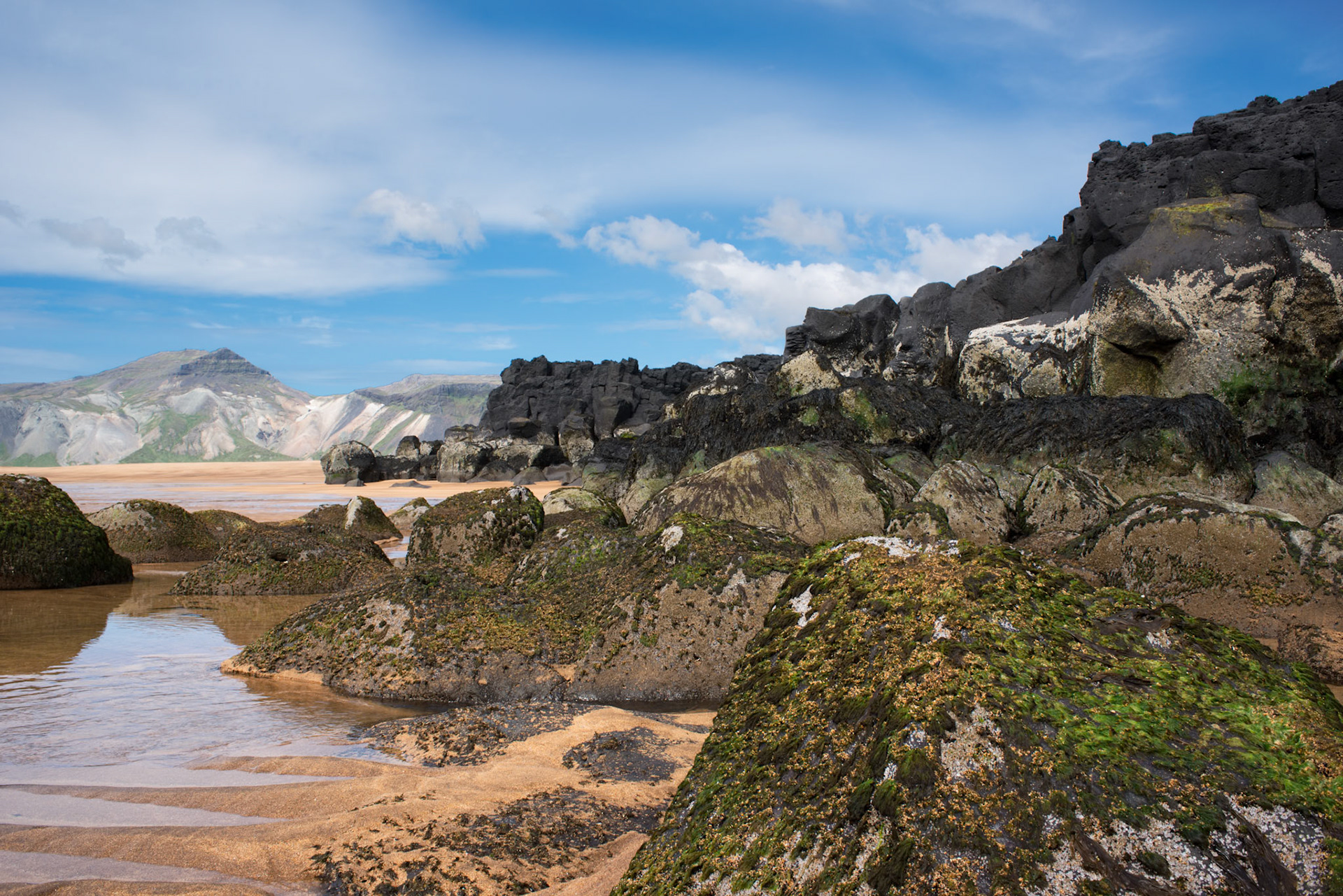 Breiðavík -The soft sandy beach and the rough rocks make contrasting features in the landscape. Seaweed and barnacles growing on the rocks and the nearby mountains create a colorful environment.Location: Breiðavík, Snæfellsnes, West Iceland.