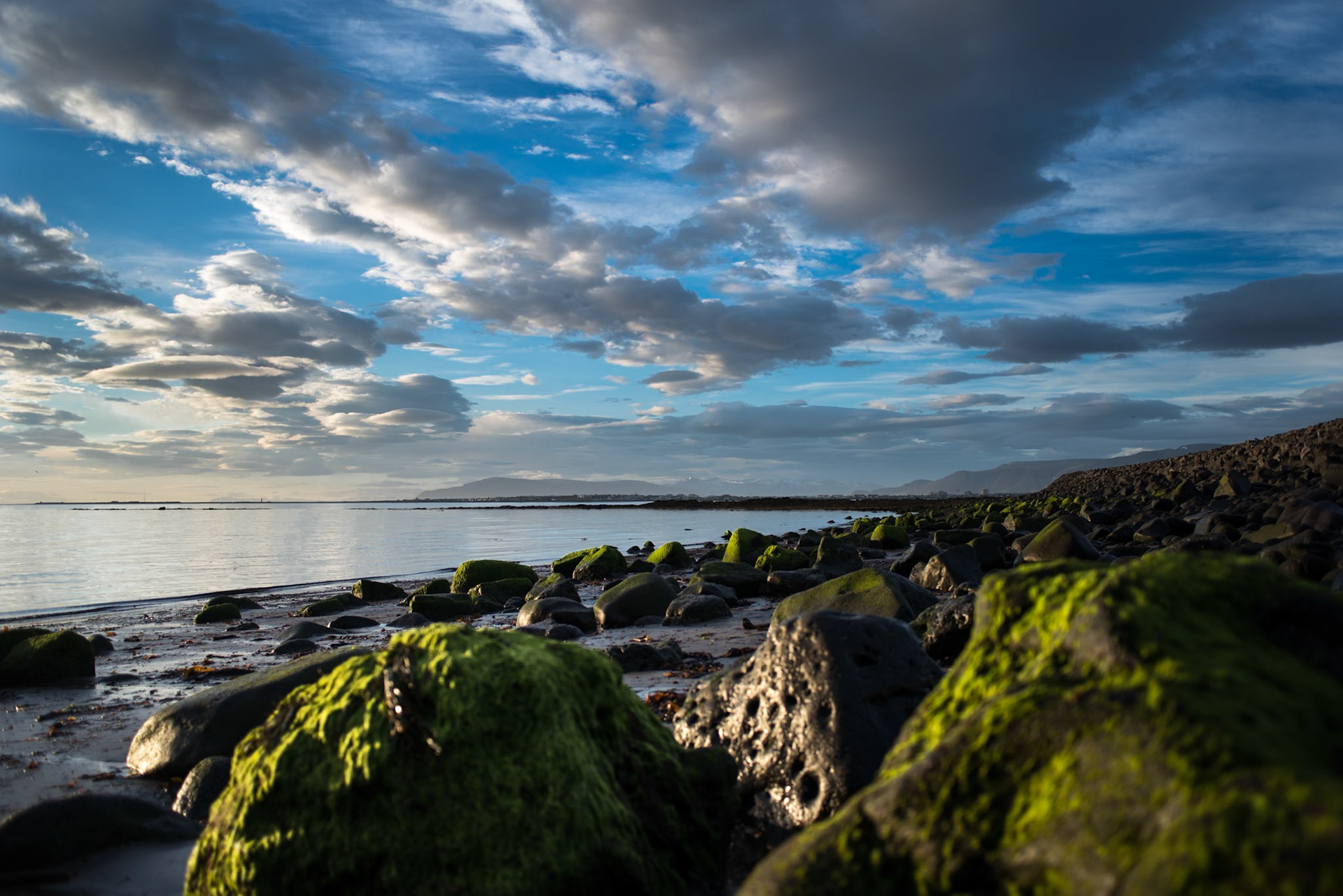 ©SVANA  In early July the days are long and going to bed is not appealing. Often the weather is calm so it is tempting to stay outside and enjoy the beauty of nature.Location: Álftanes, SW Iceland.