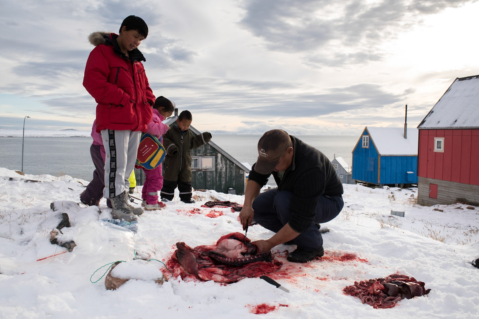 ©SVANA  Family gathering around the food. A Greenlandic hunter taking care ofhis catch, in this case a seal.