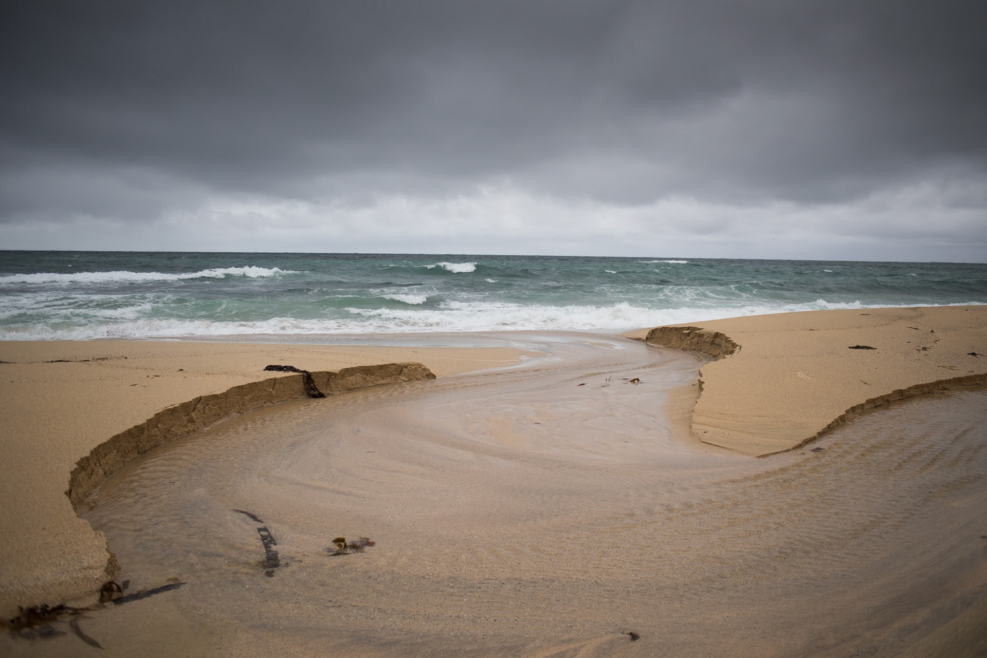 Vestfirðir -The shore.