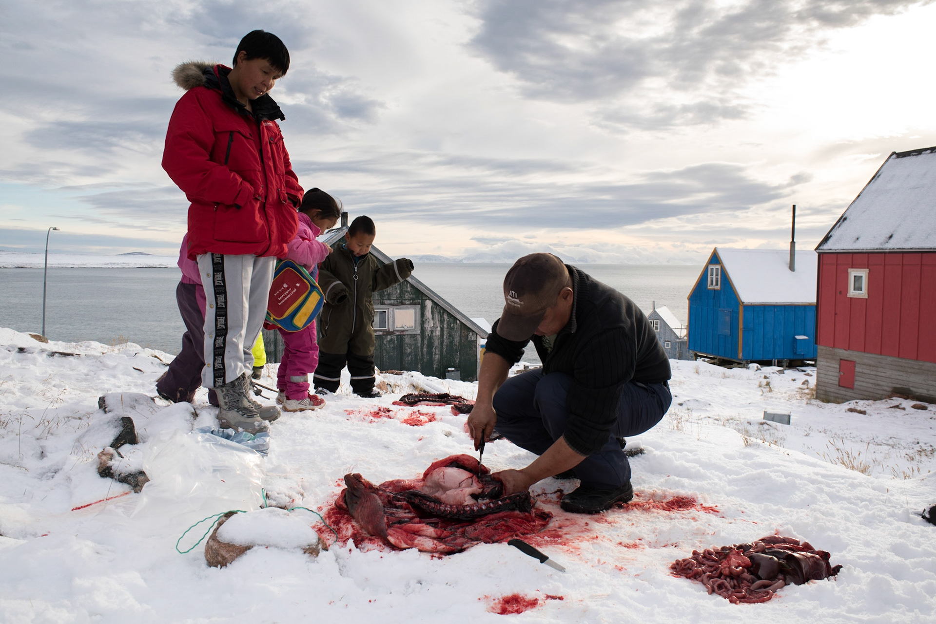 ©SVANA  Family gathering around the food. A Greenlandic hunter taking care ofhis catch, in this case a seal.