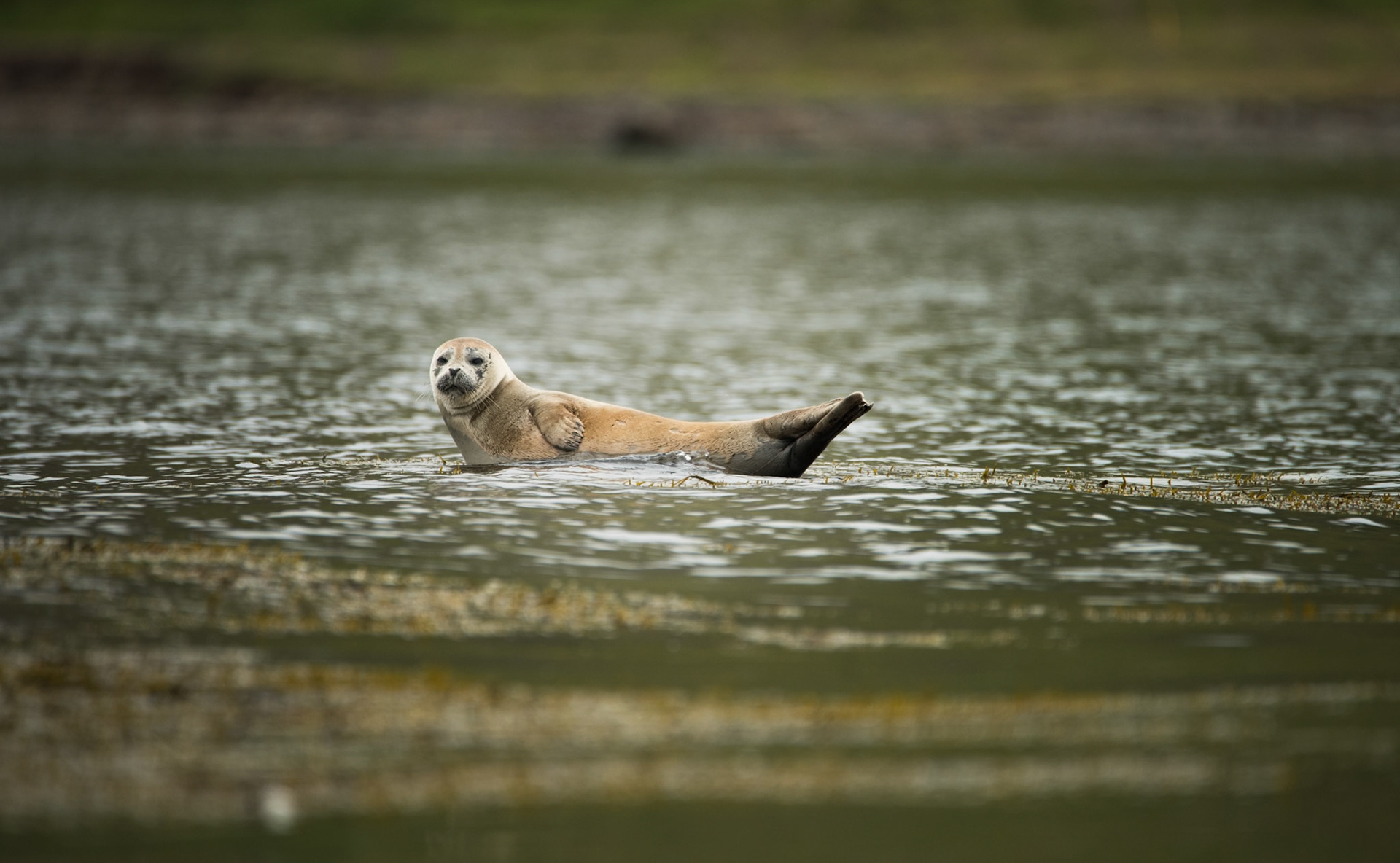 Relaxed in a remote Icelandic fjord.