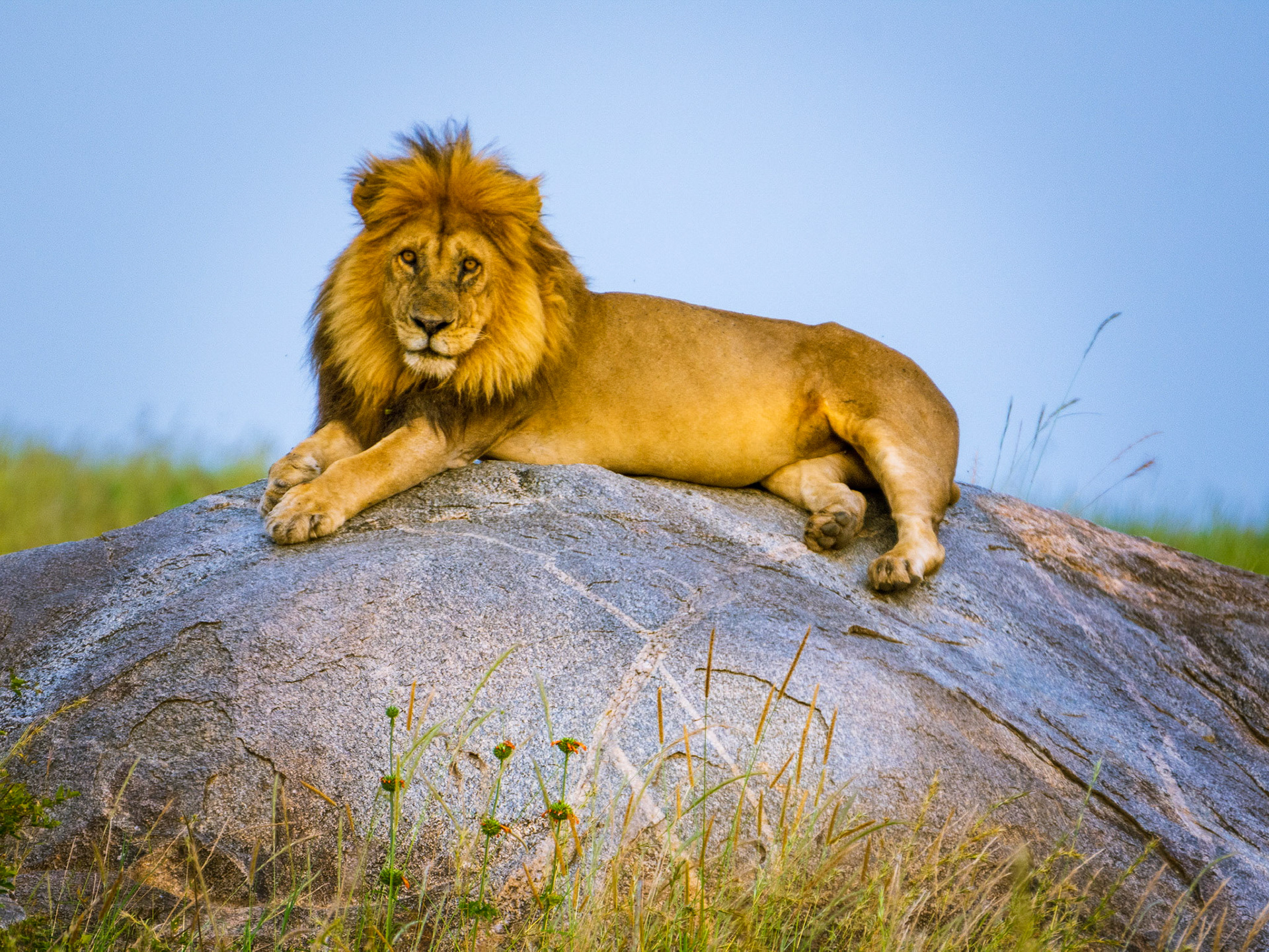 Taken at the end if the first day on safari in Tanzania!