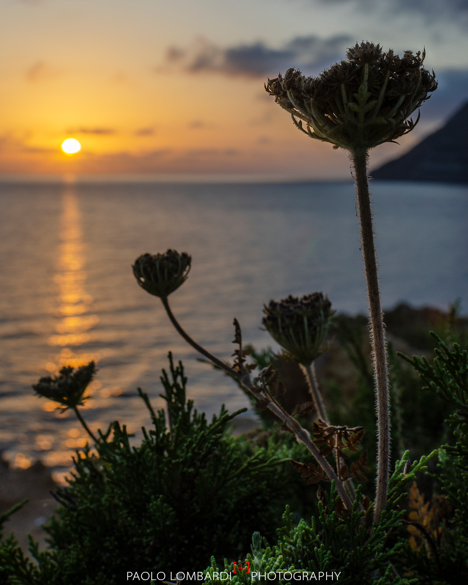 Porto Ferro, Sardinia