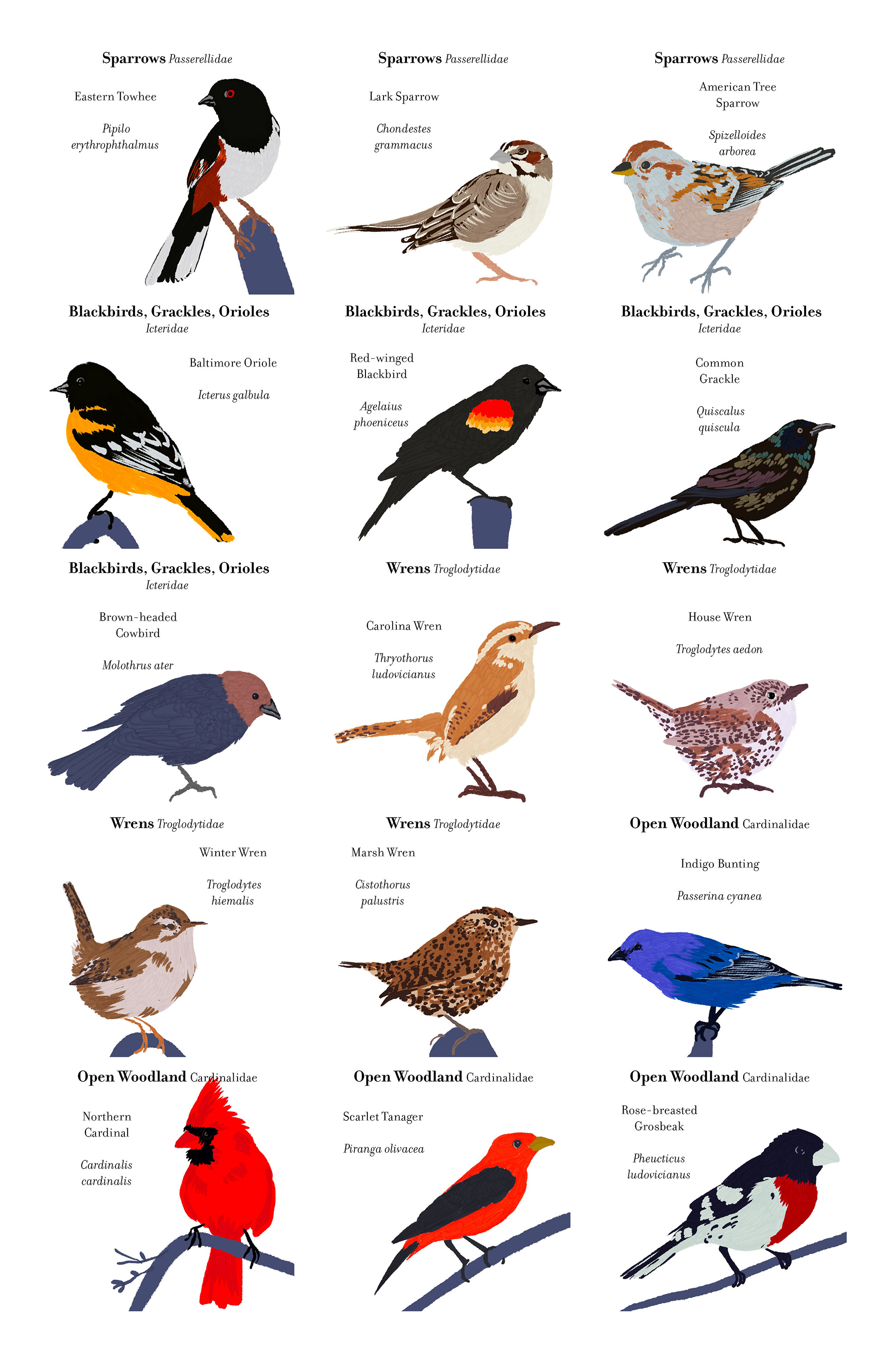 card designs