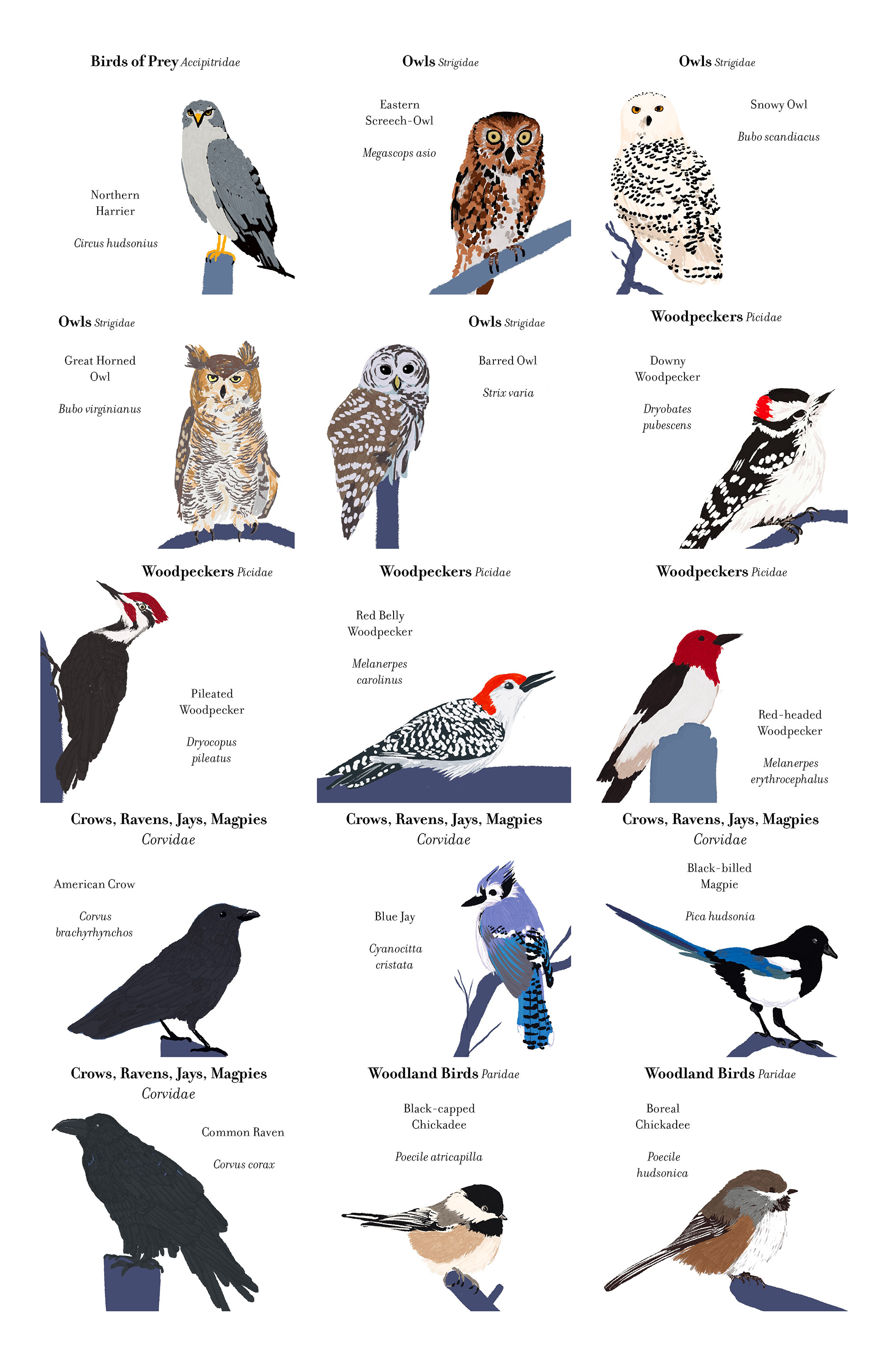 card designs