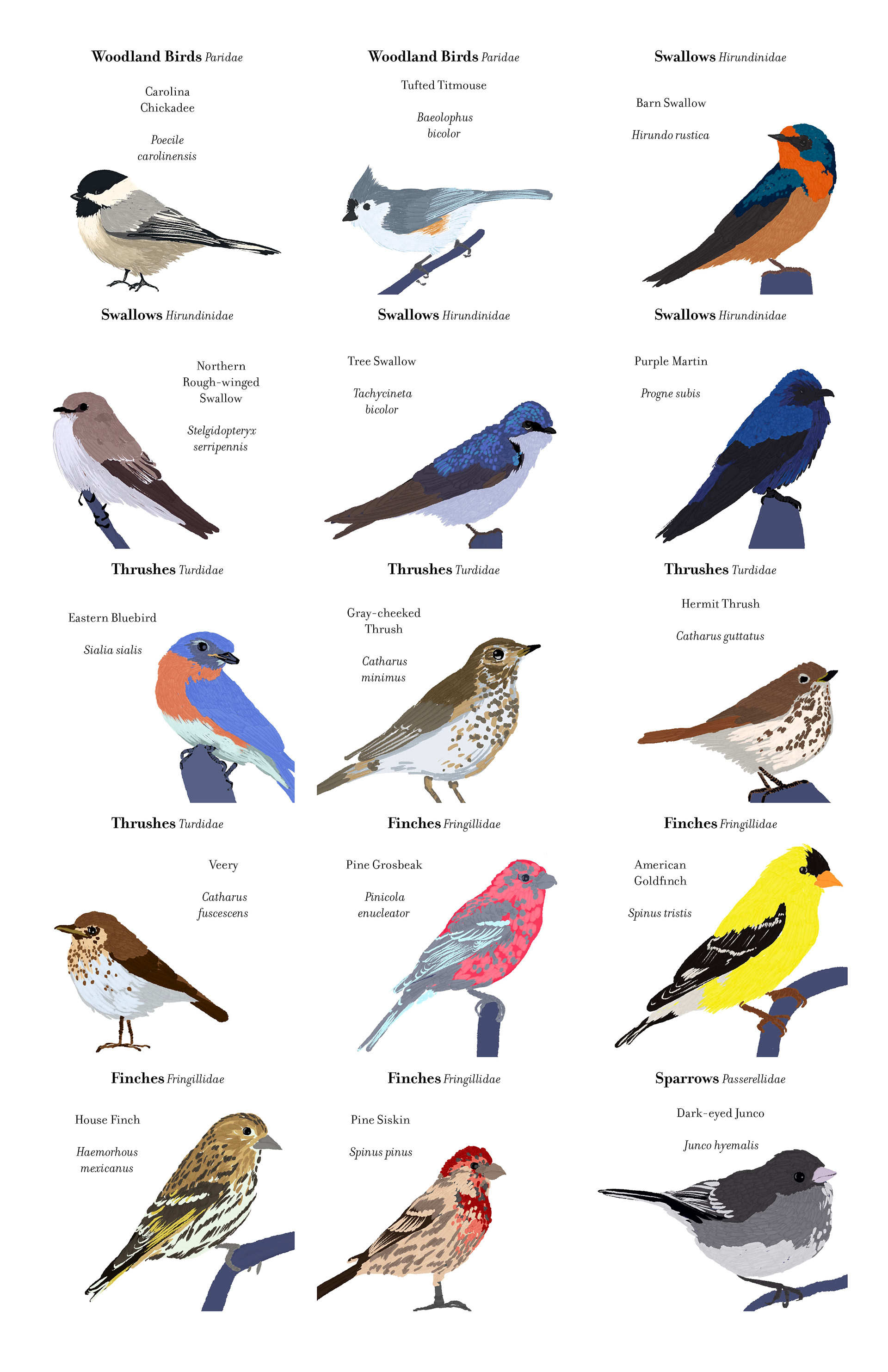 card designs