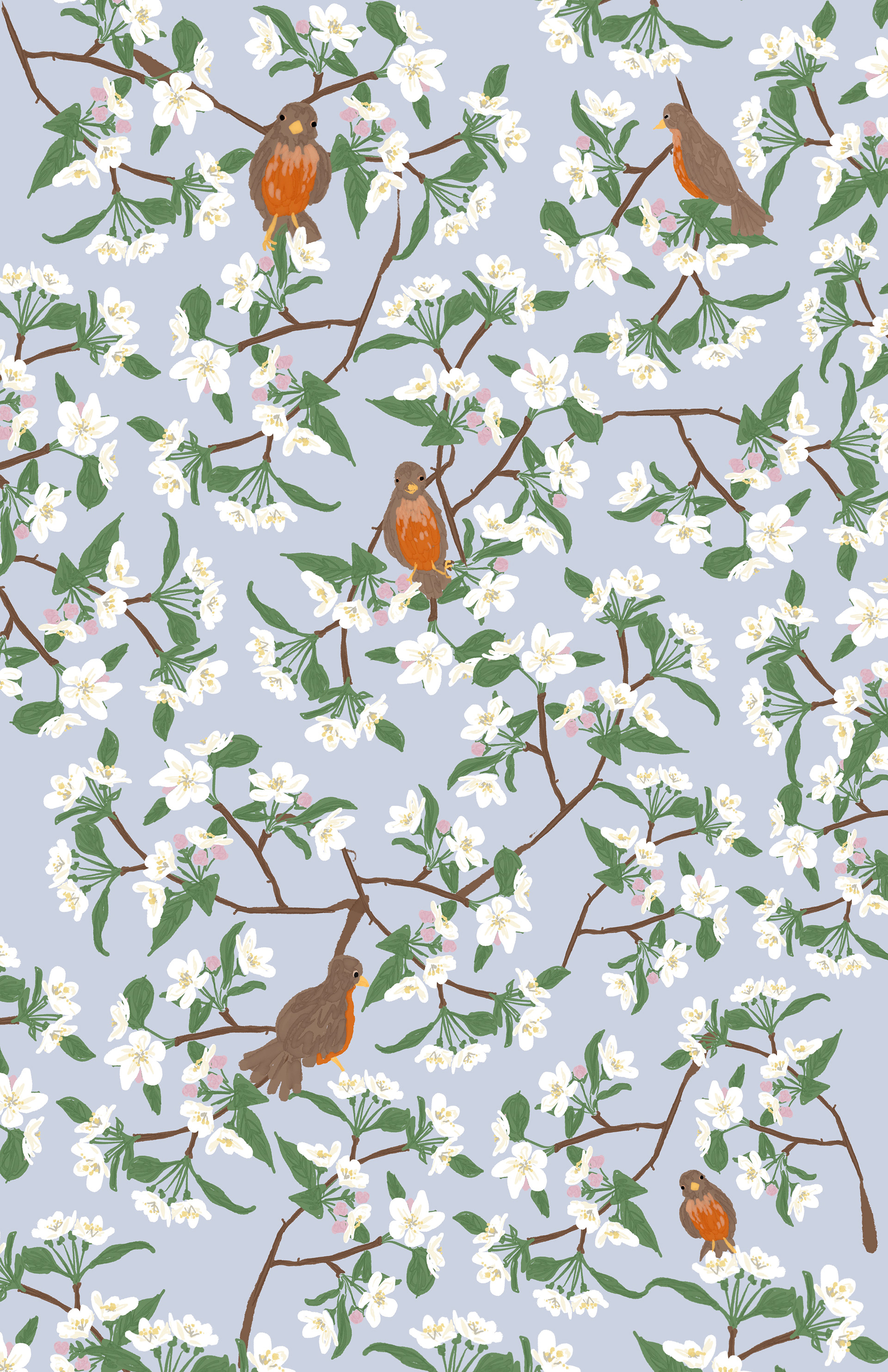 pattern for box