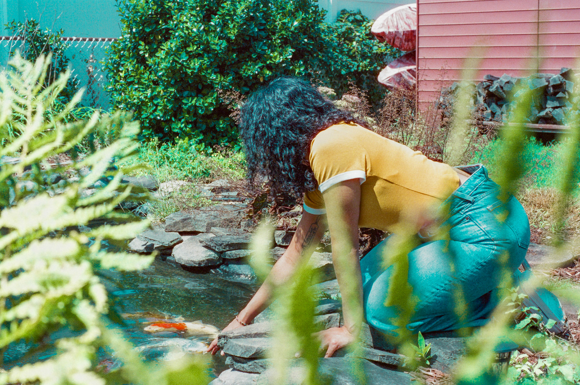 Cinestill 800T