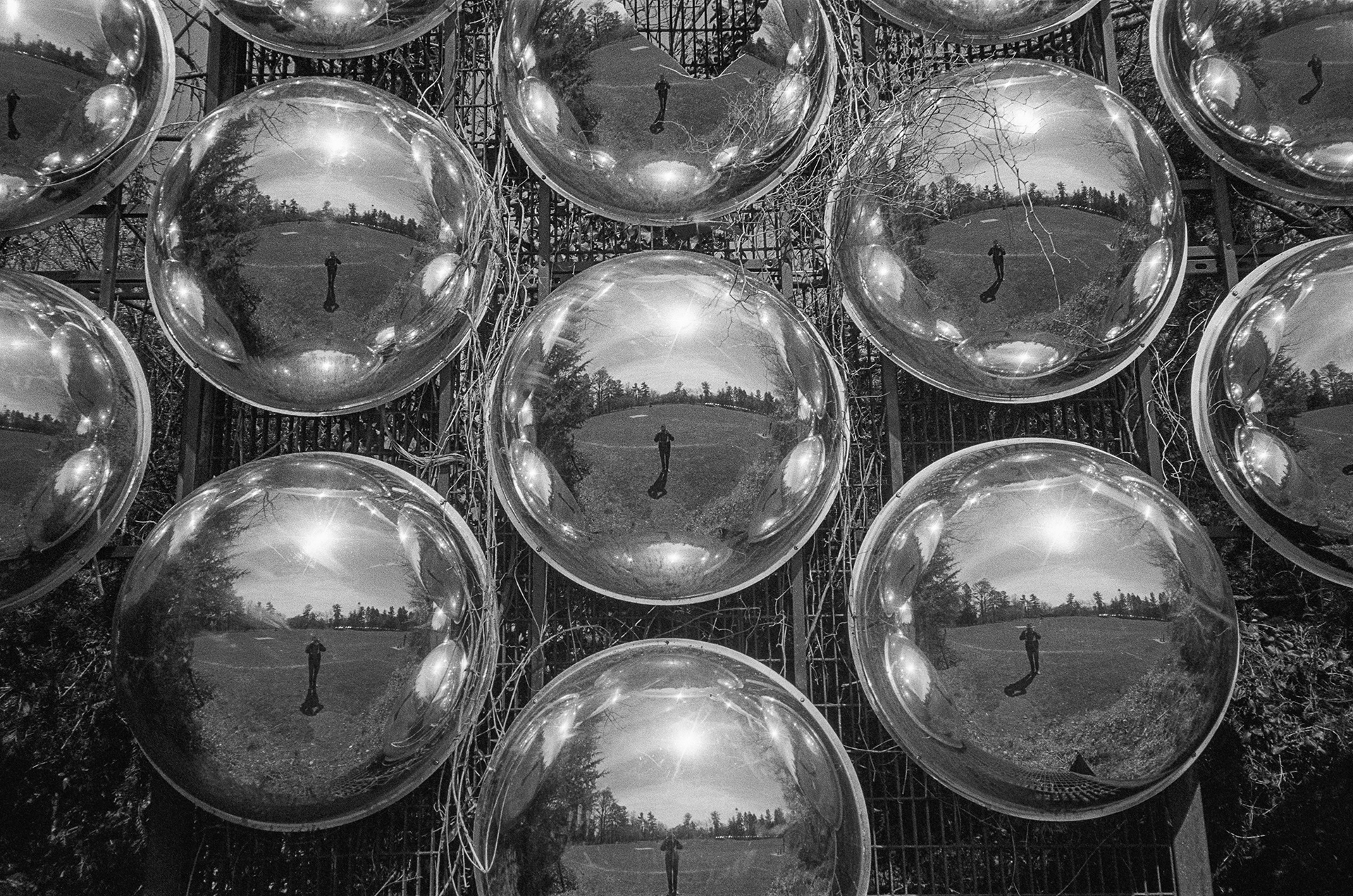 Ilford HP5