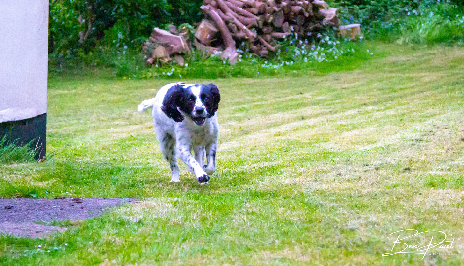Charlie - 6th May 2019