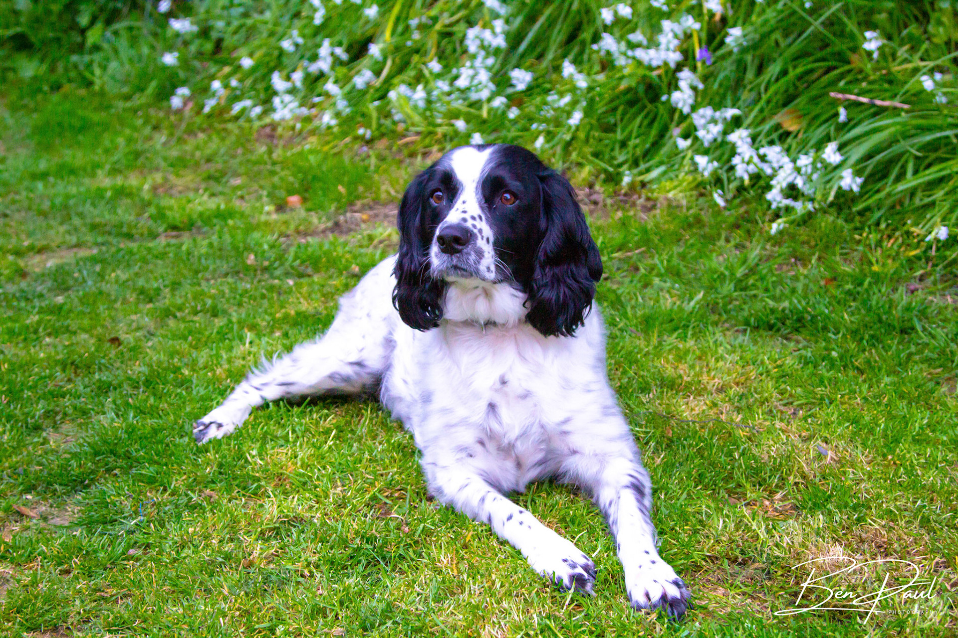 Charlie - 6th May 2019
