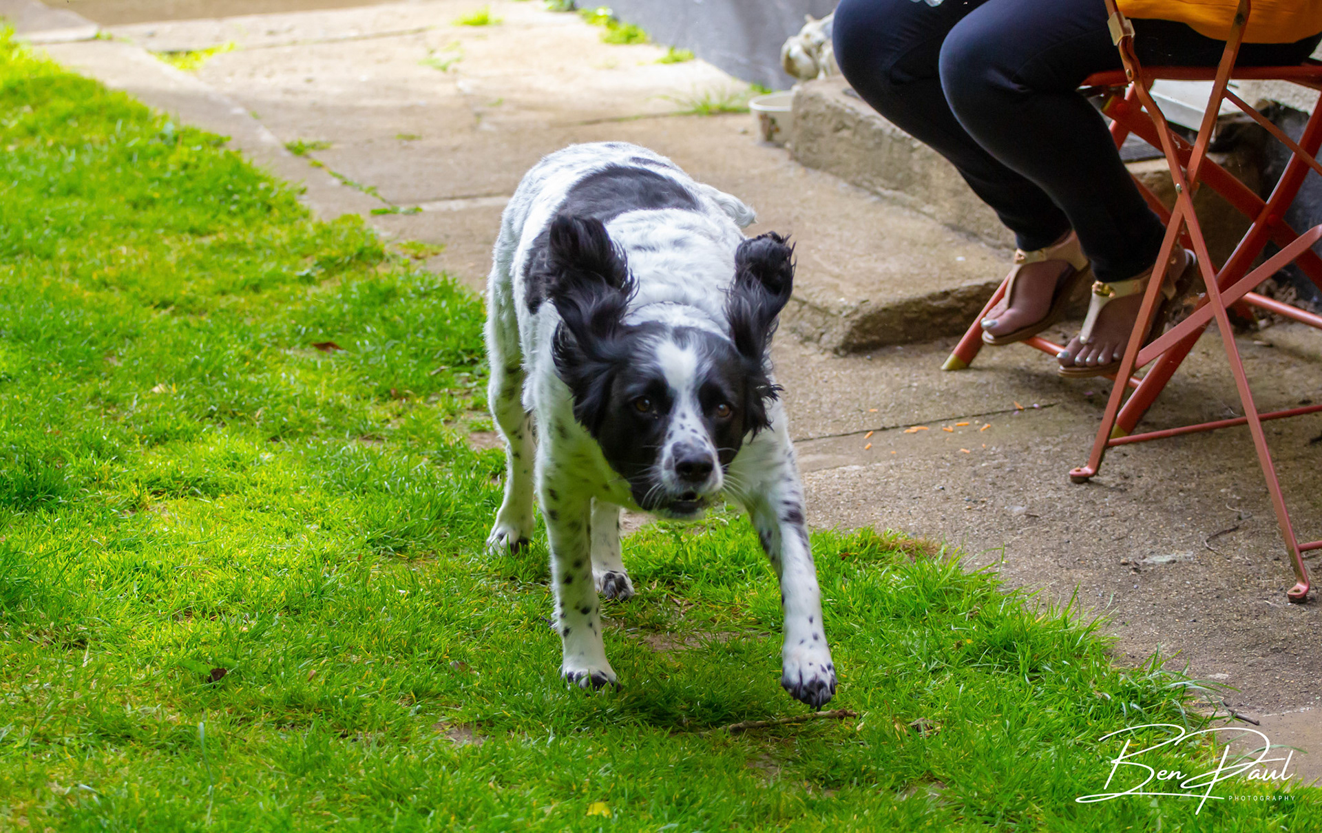 Charlie - 31st May 2018