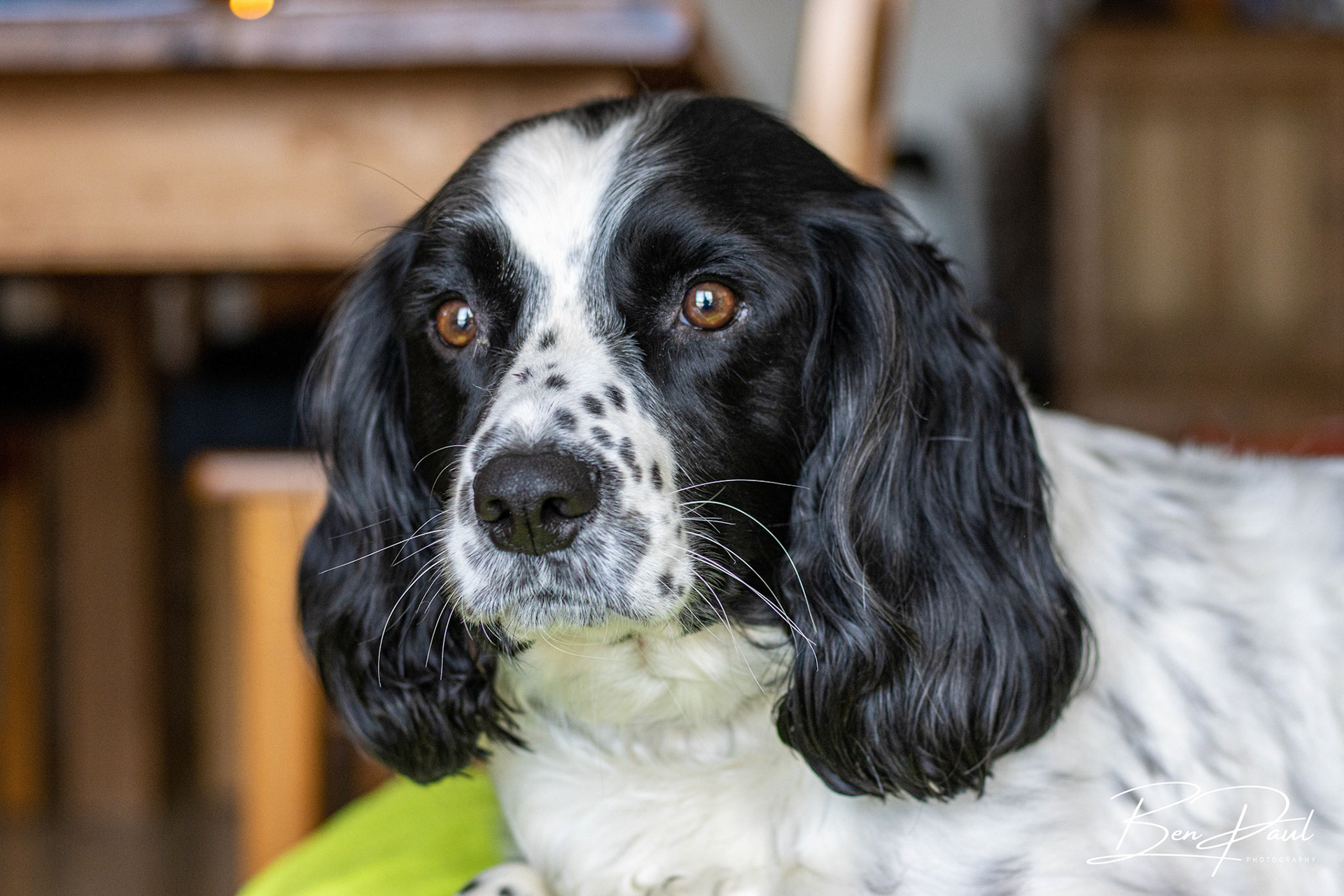 Charlie - 8th March 2020
