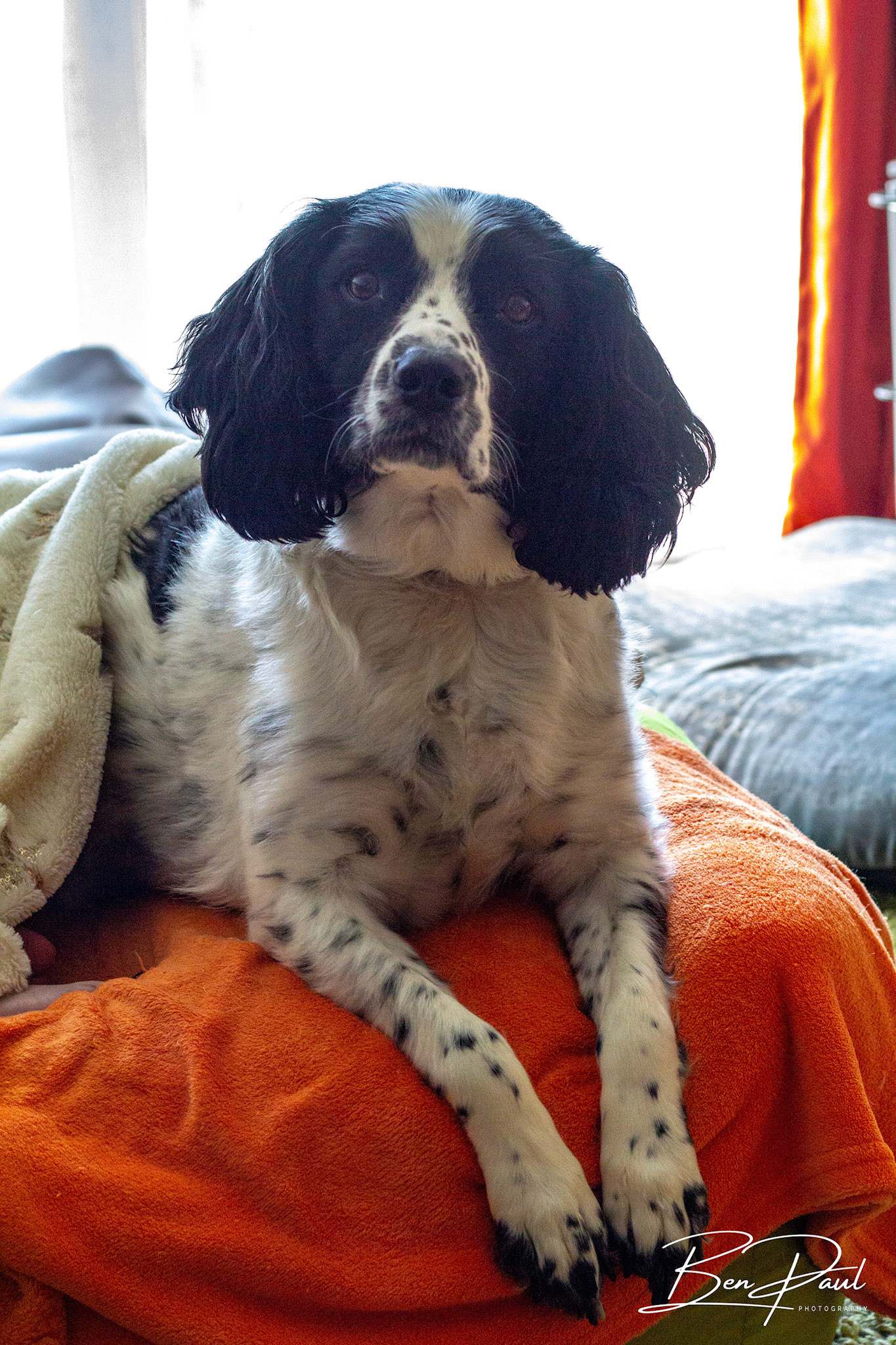 Charlie - 5th May 2020