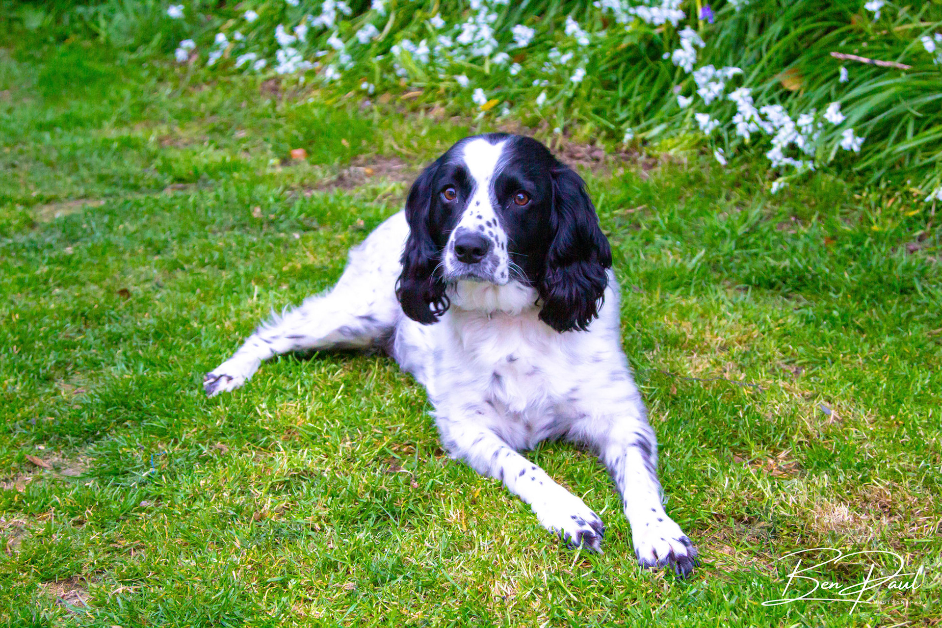 Charlie - 6th May 2019