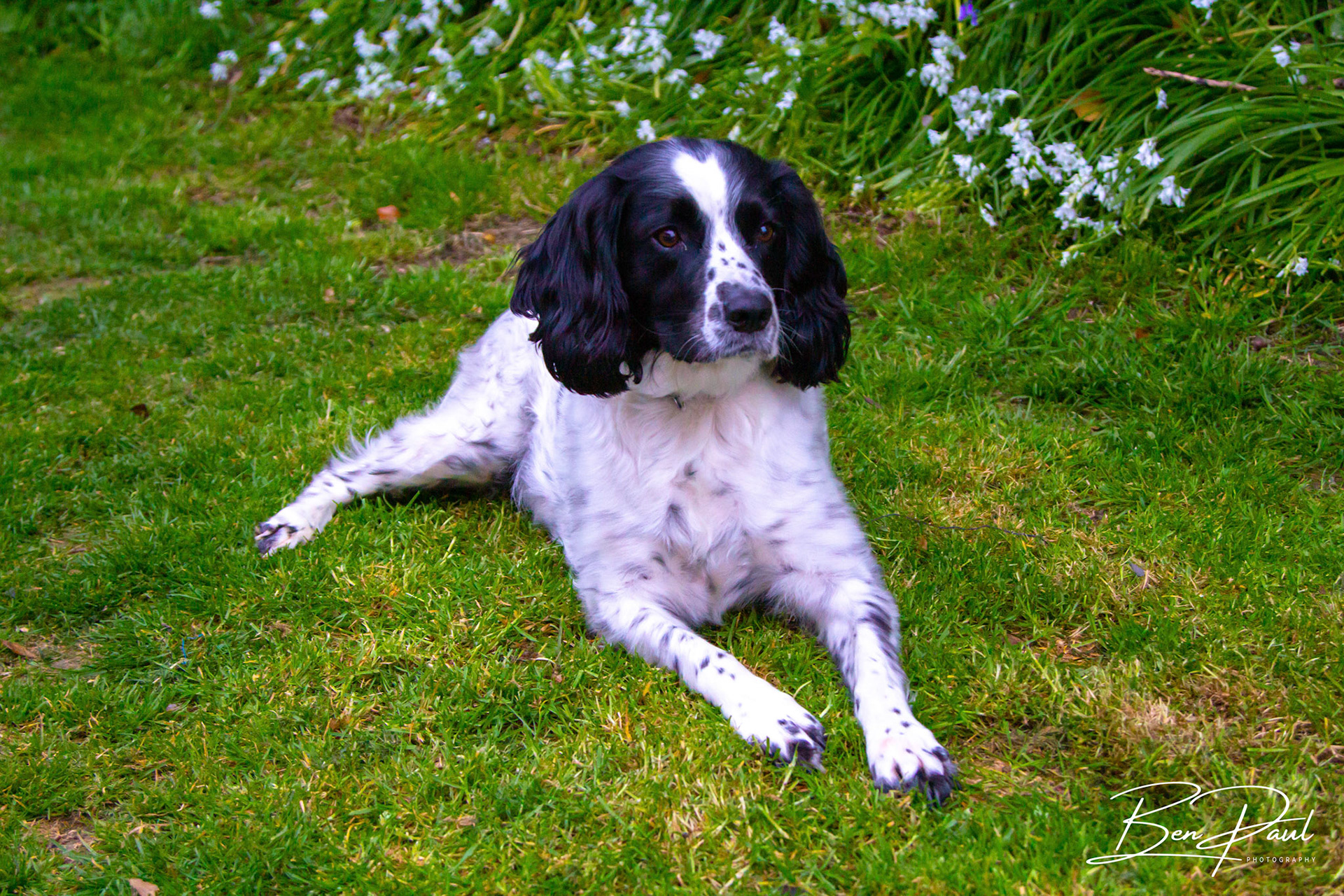 Charlie - 6th May 2019
